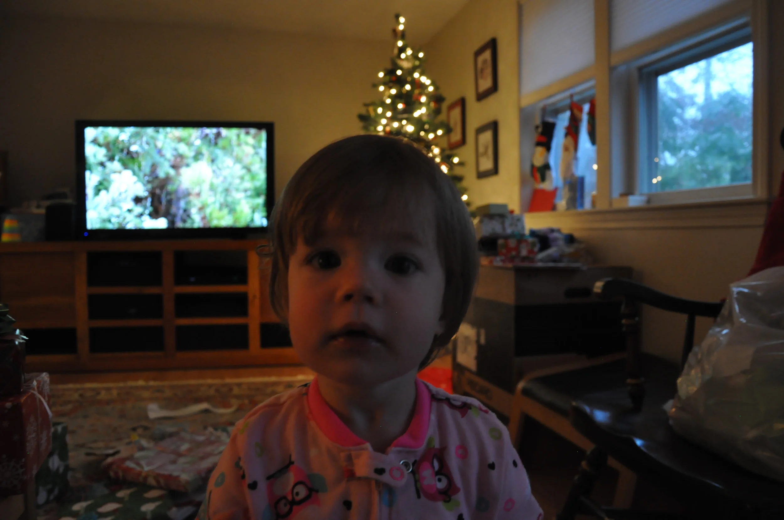 Ella_Cifelli_Christmas_2015 034.JPG