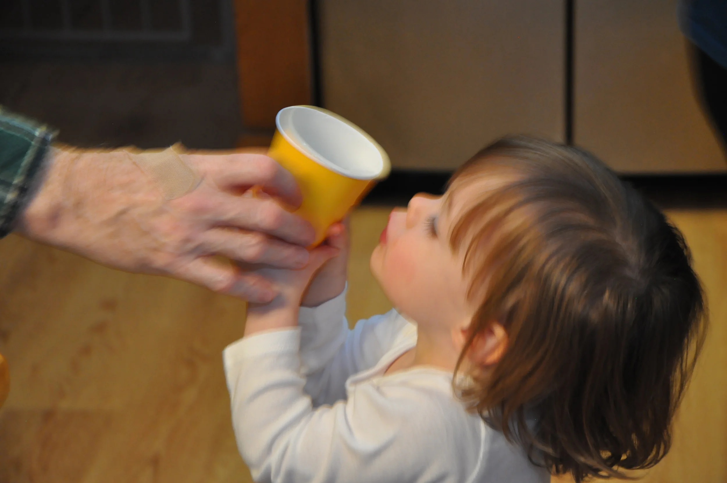 Ella_2nd_Birthday 040.JPG