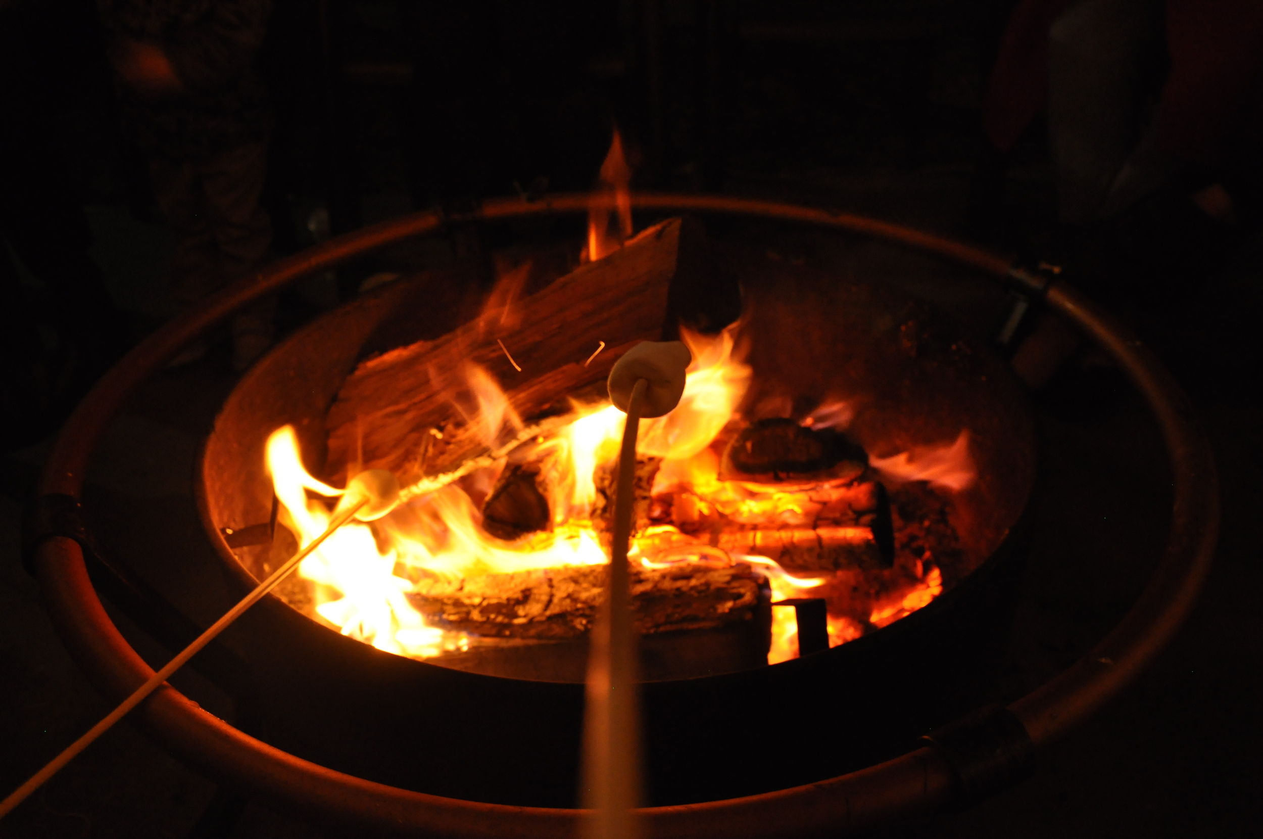 DSC_1717.JPG