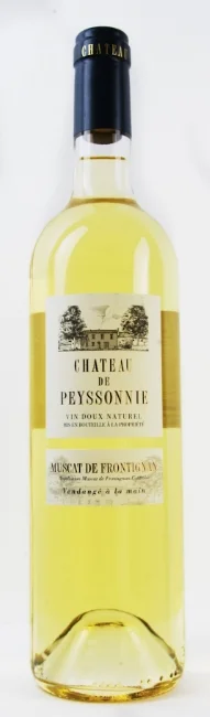 chateau de peyssonie.jpg