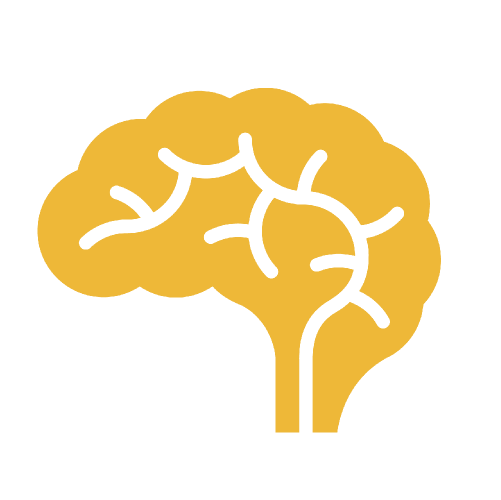 no circle - brain.png