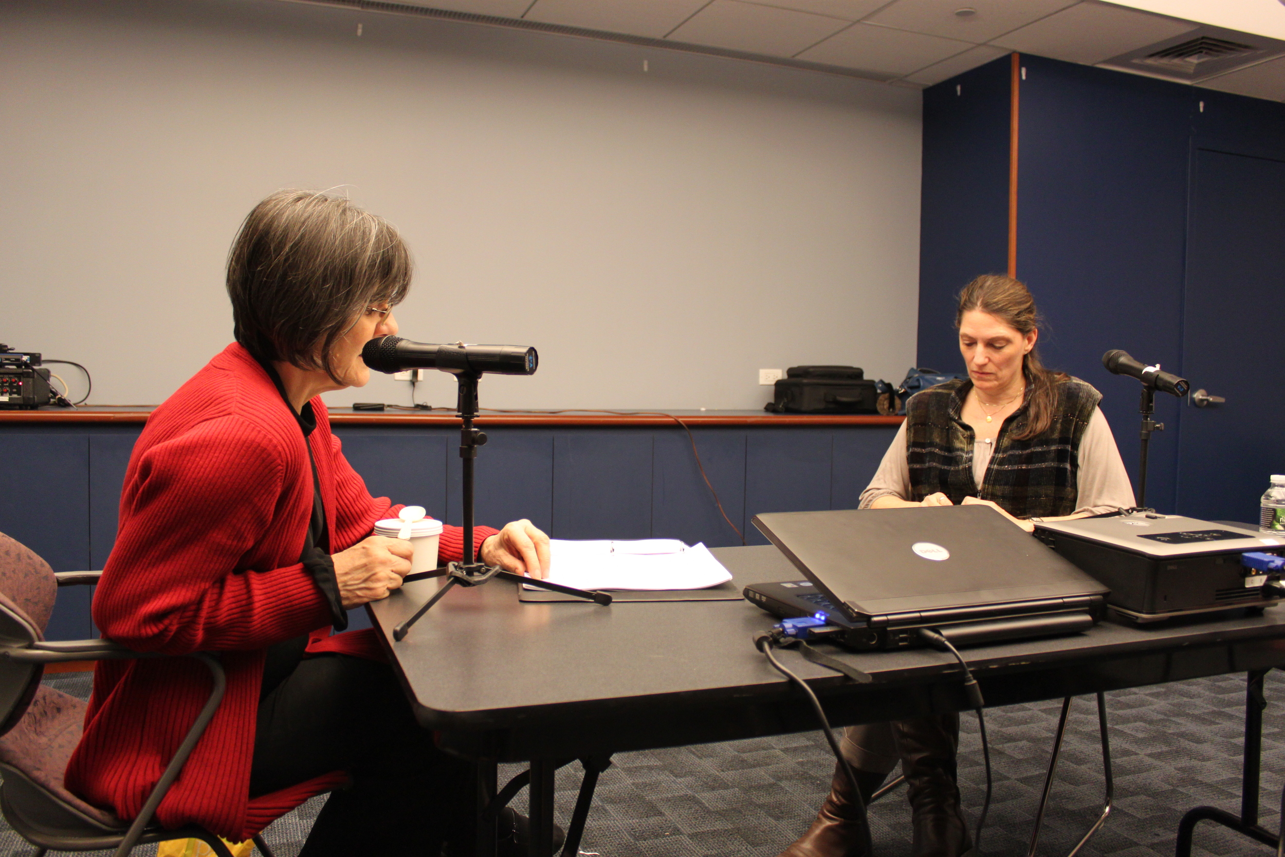 LECTURE: National Institute for the Psychotherapies - January 2013