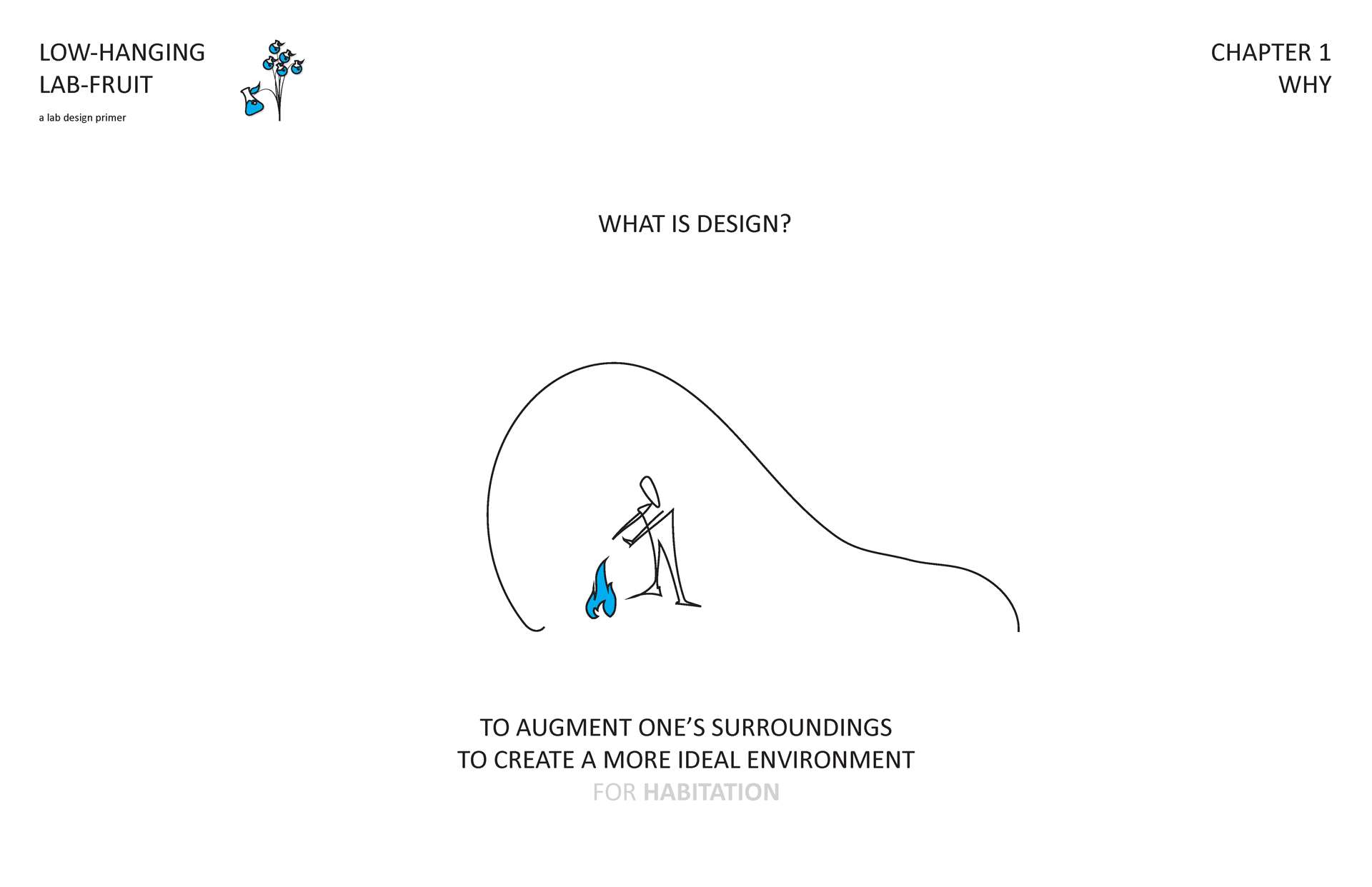 Low Hanging Lab Fruit: A Lab Design Primer