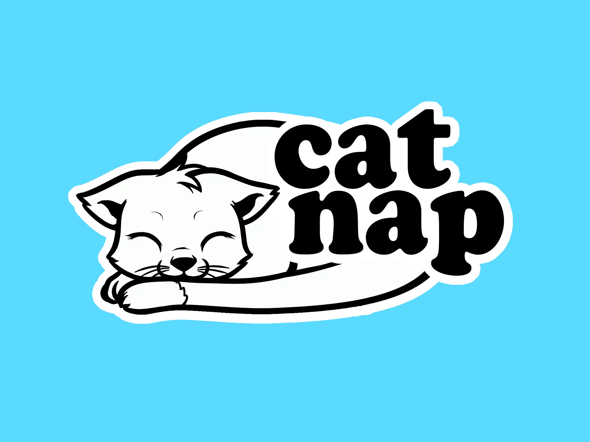 CAT NAP2.jpg