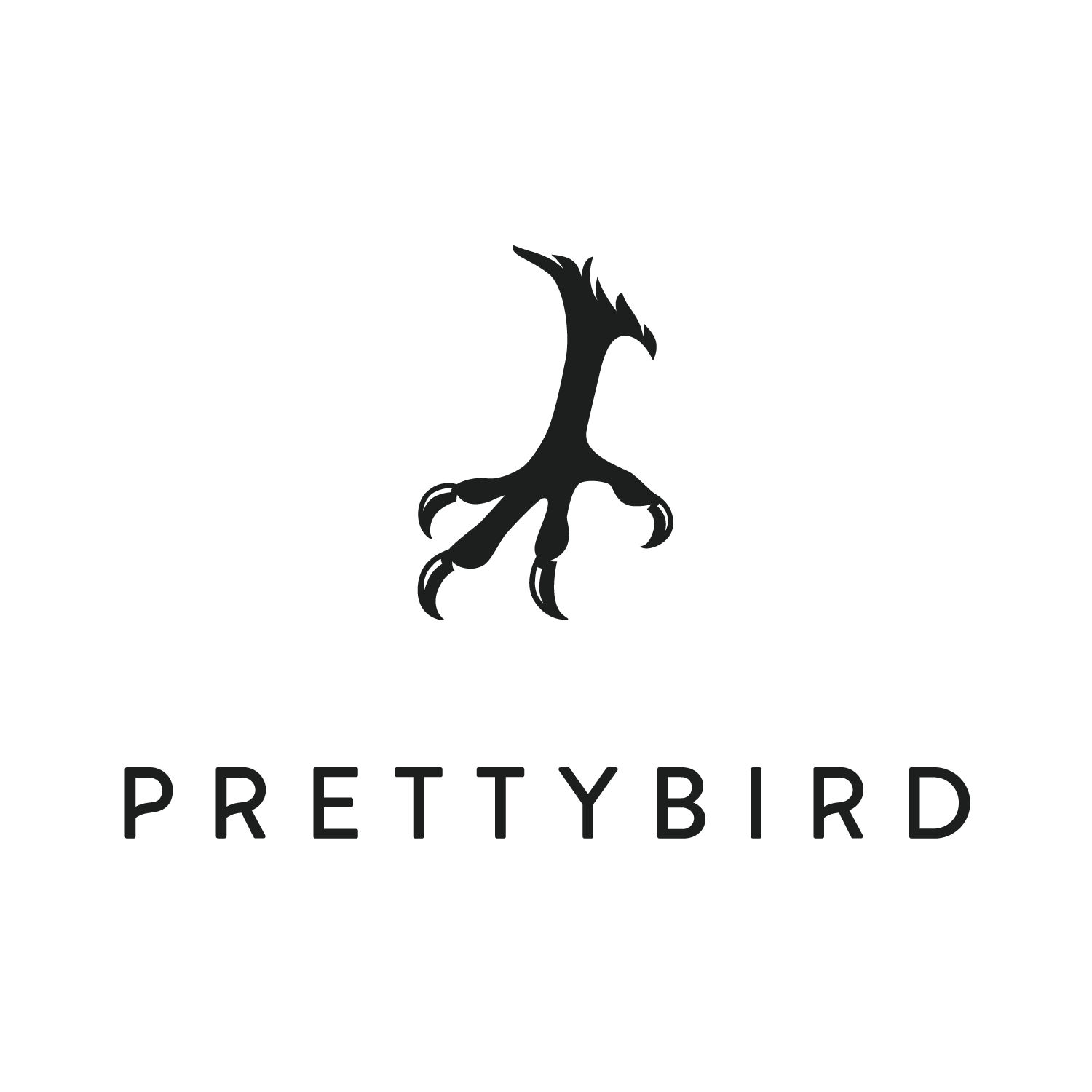 Prettybird branding reel