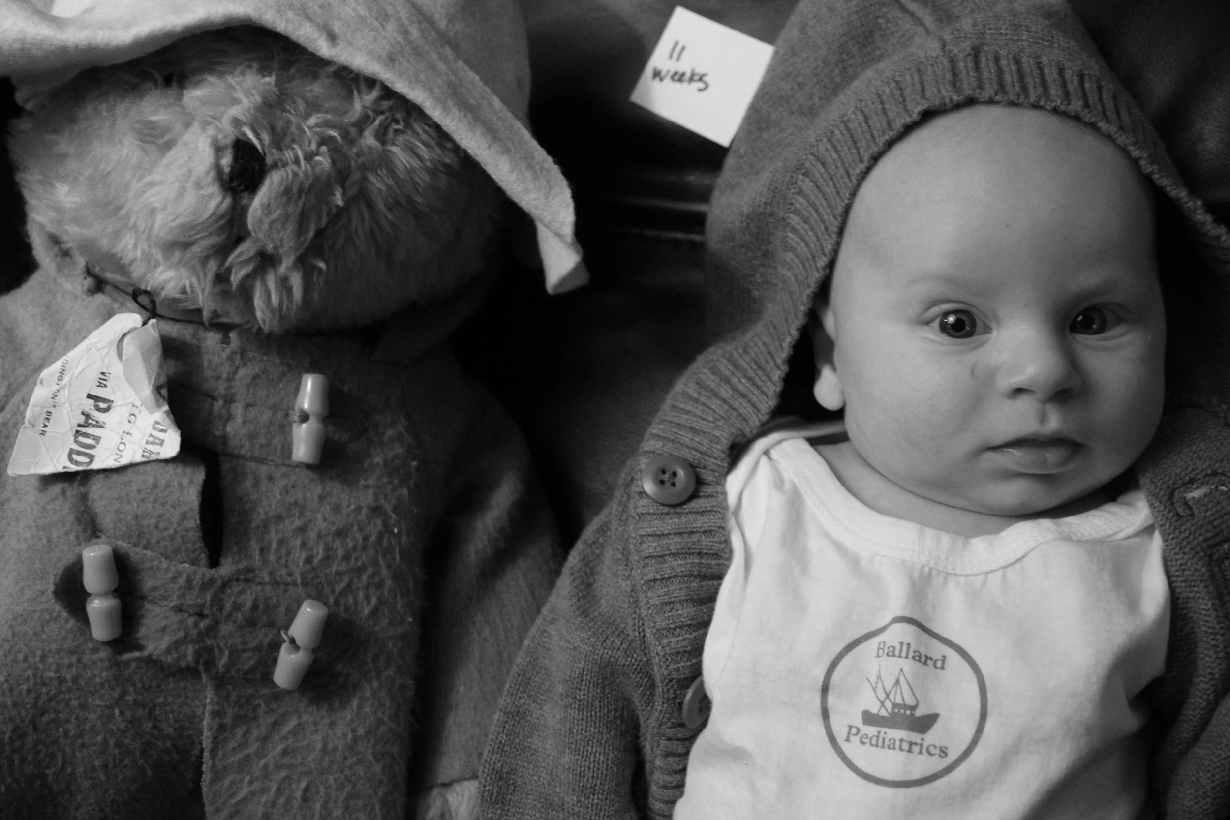 IMG_4205.JPG
