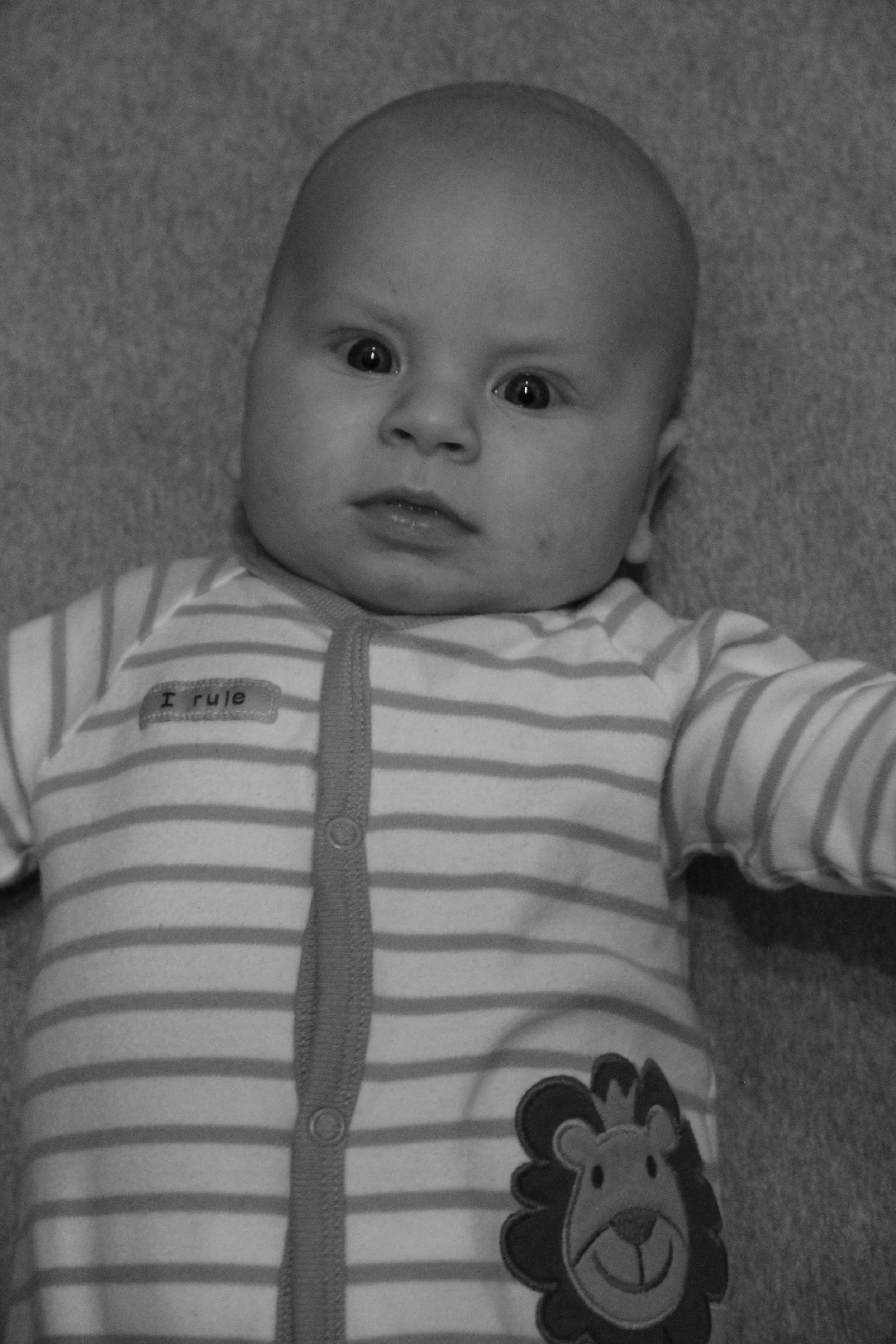 IMG_4412_edited.jpg