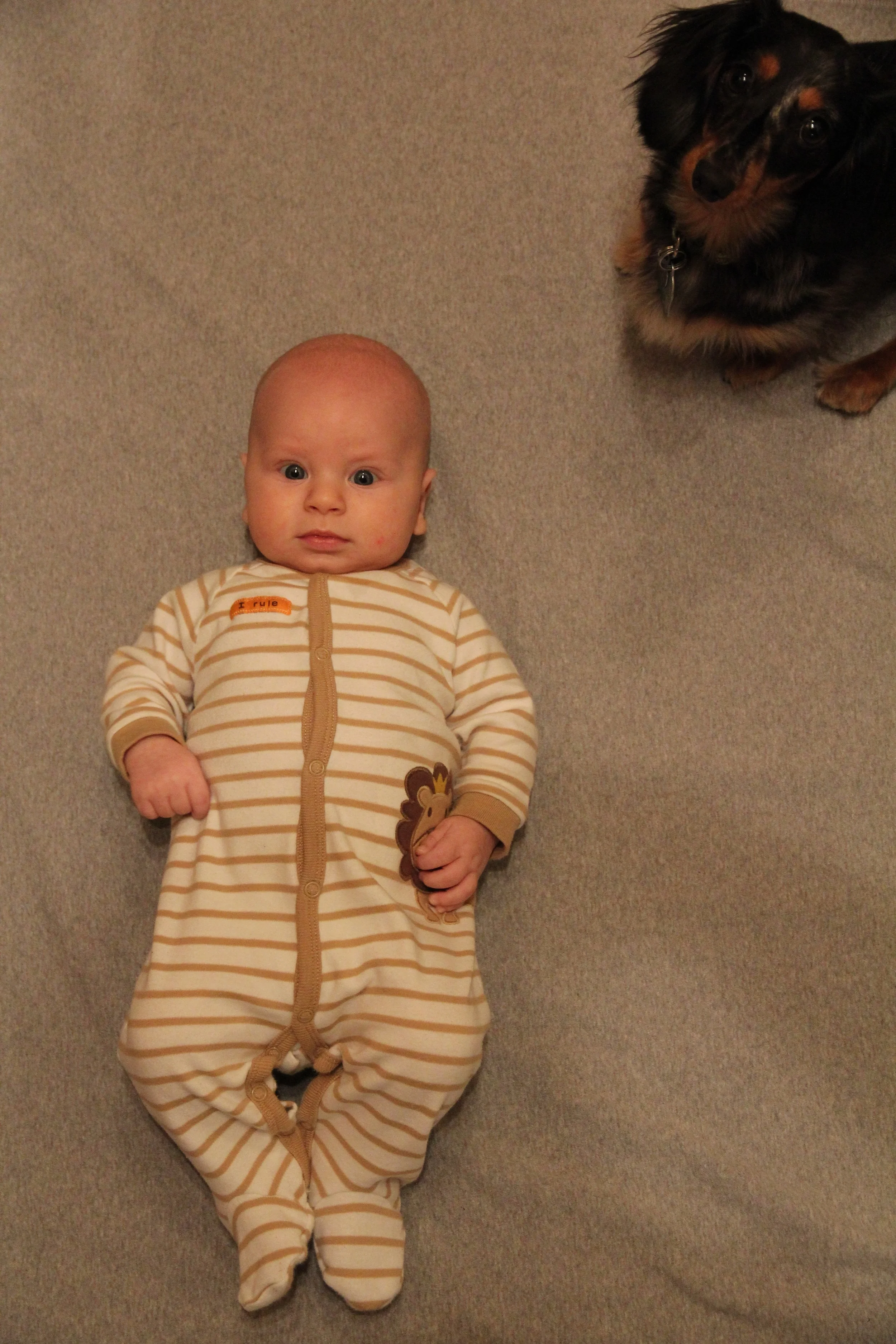 IMG_4424_edited.jpg