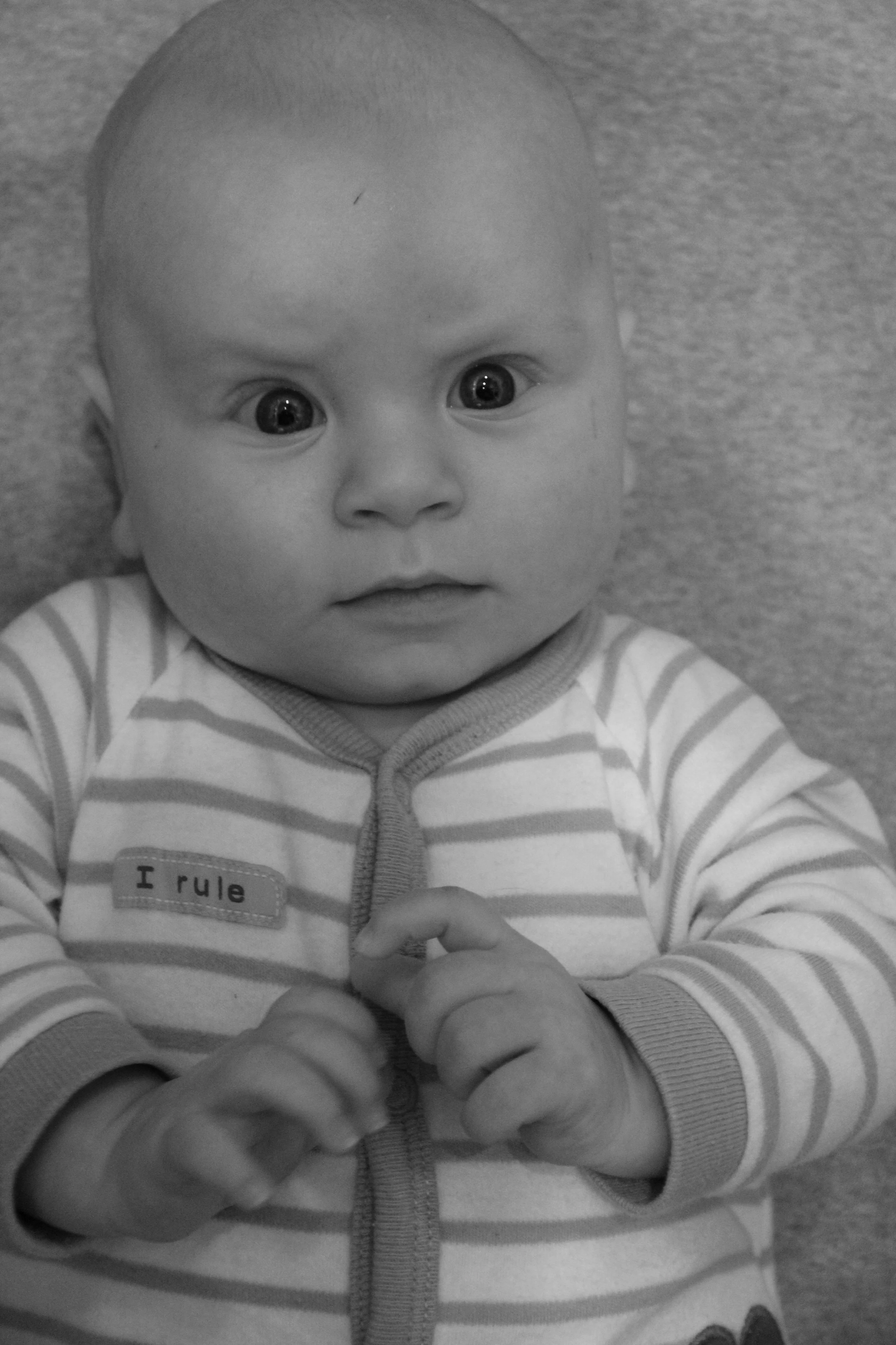IMG_4735_edited.jpg
