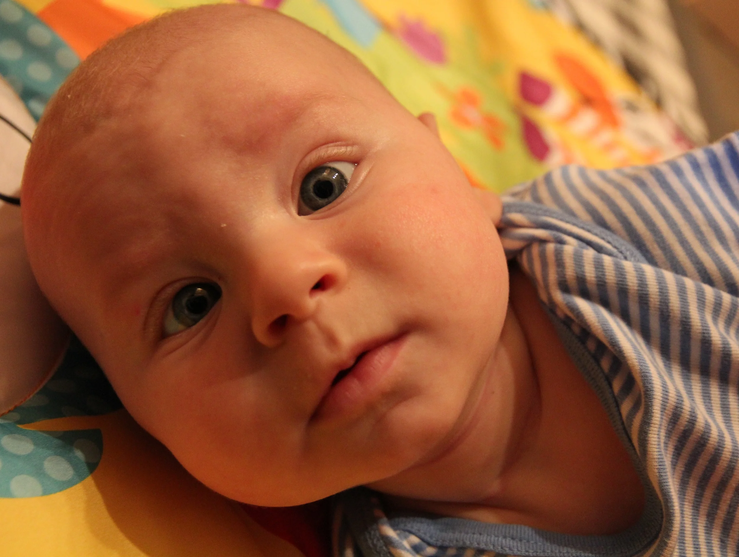 IMG_5007_edited.jpg