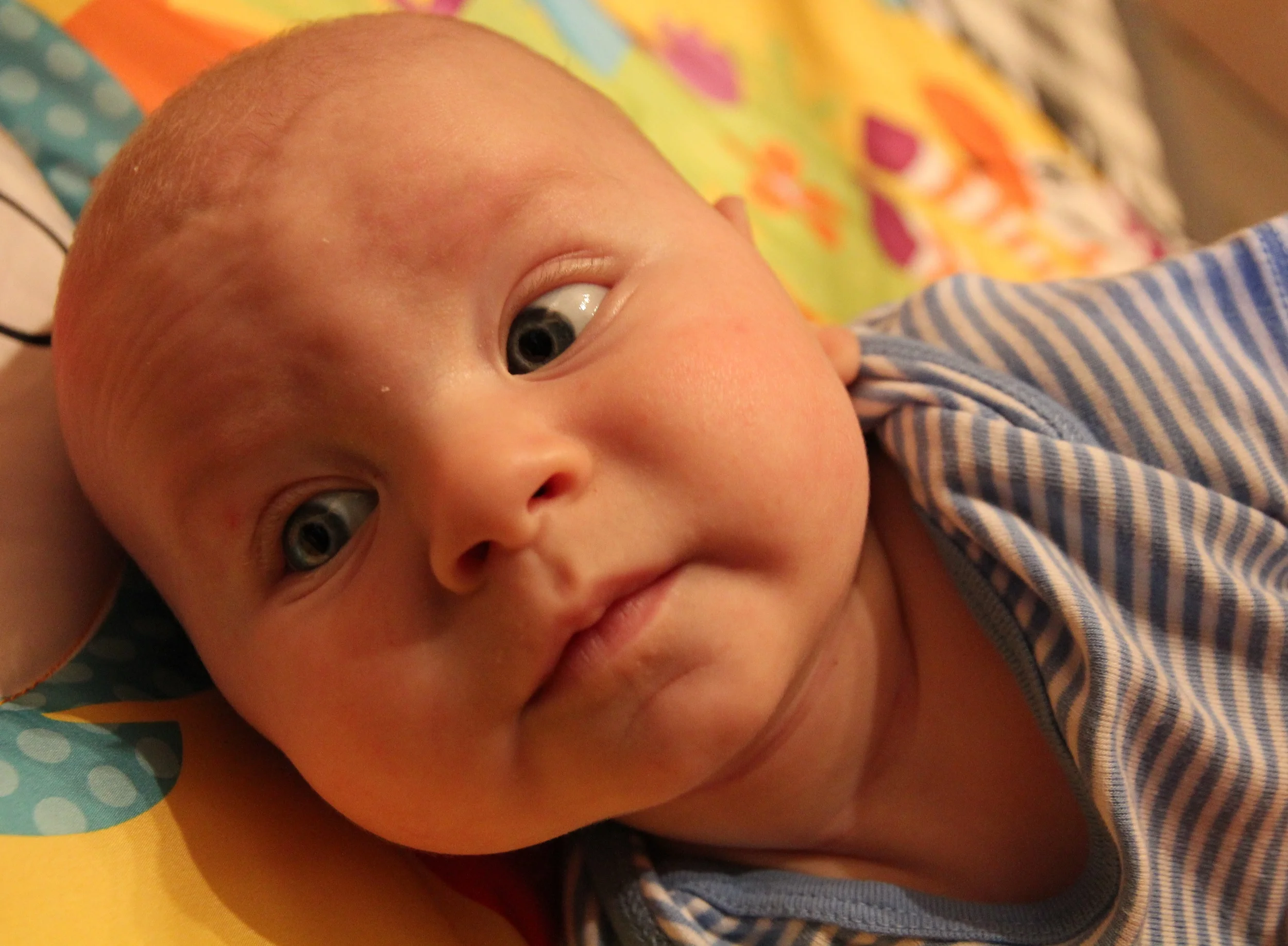 IMG_5008_edited.jpg