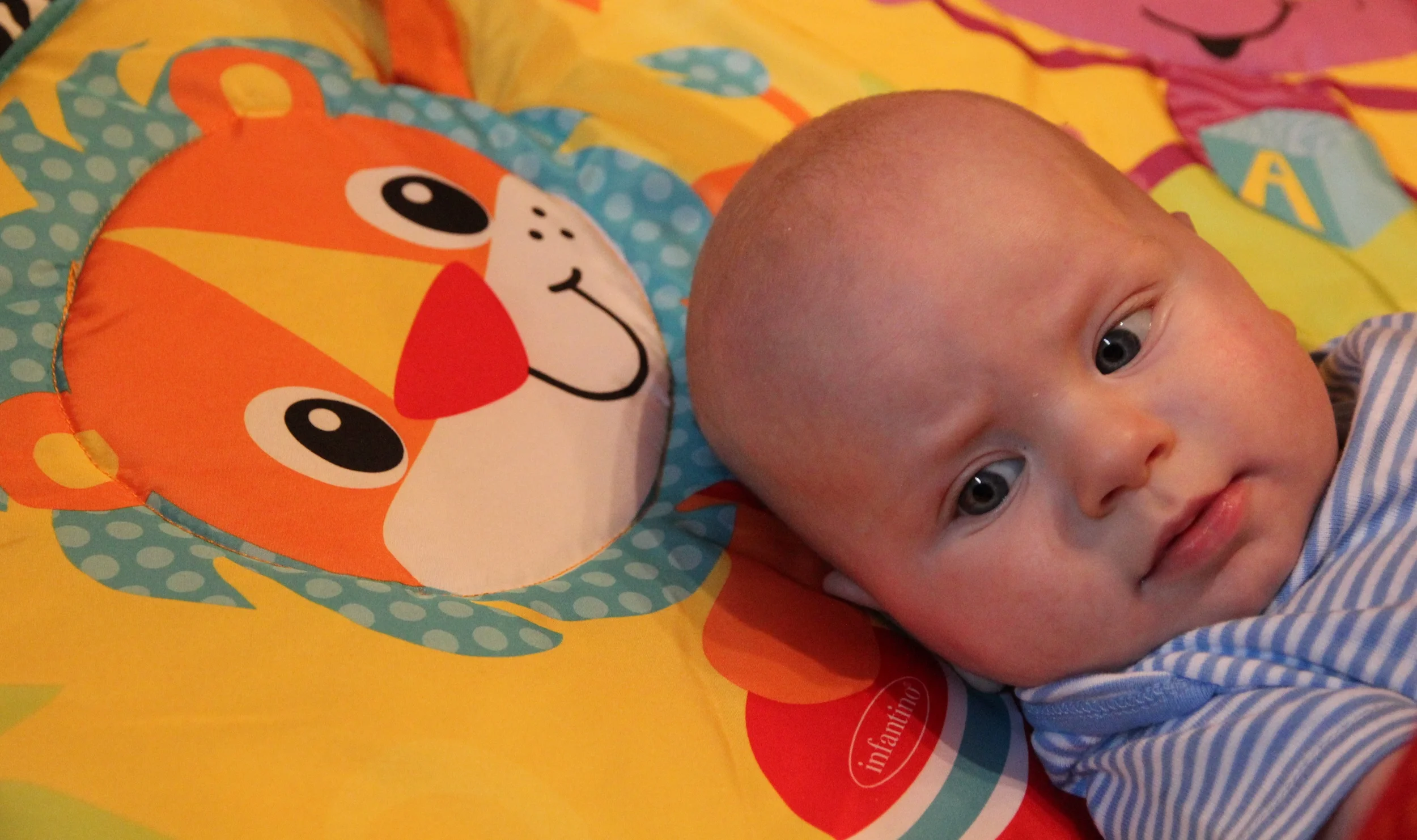 IMG_5082_edited.jpg