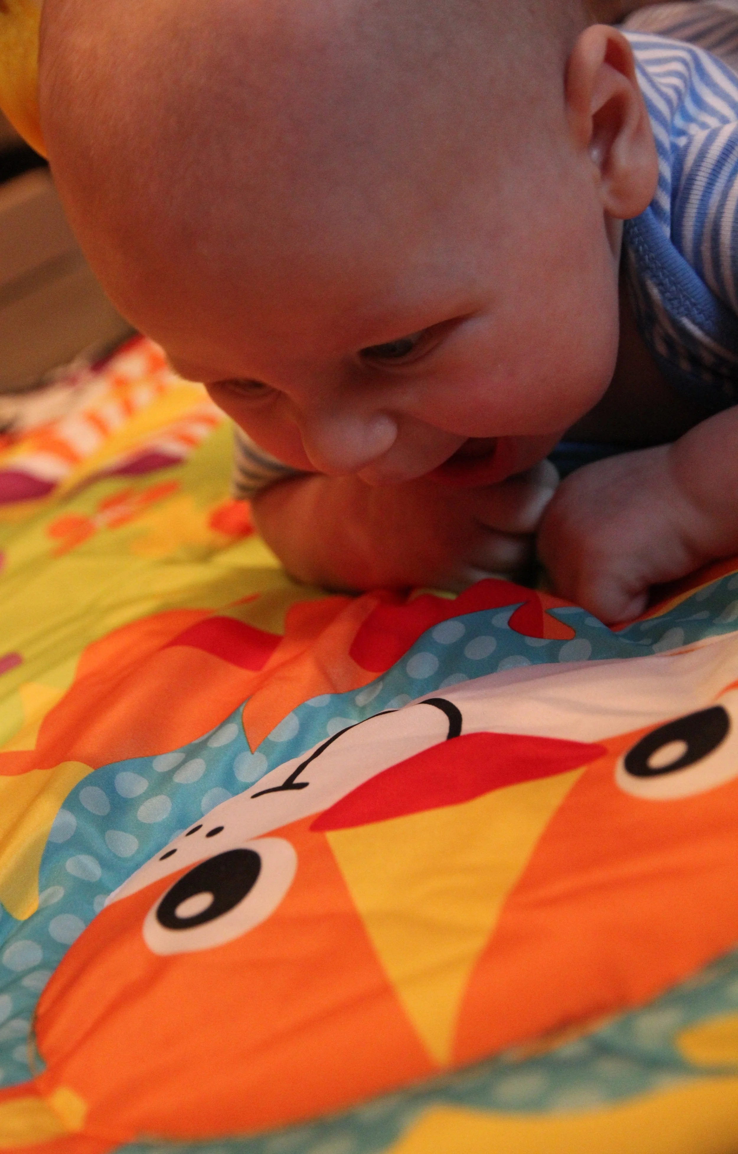 IMG_5099_edited.jpg