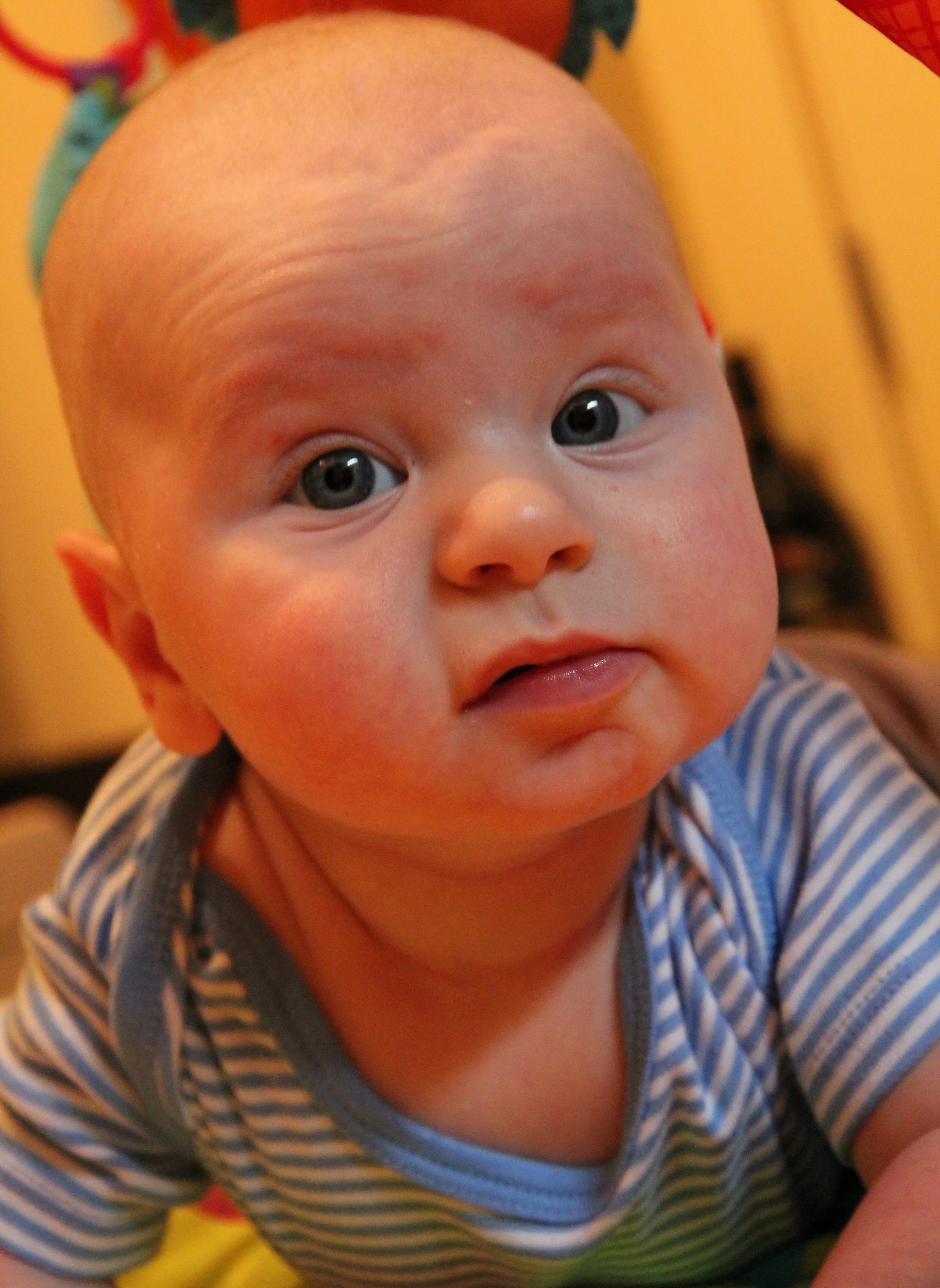 IMG_5092_edited.jpg
