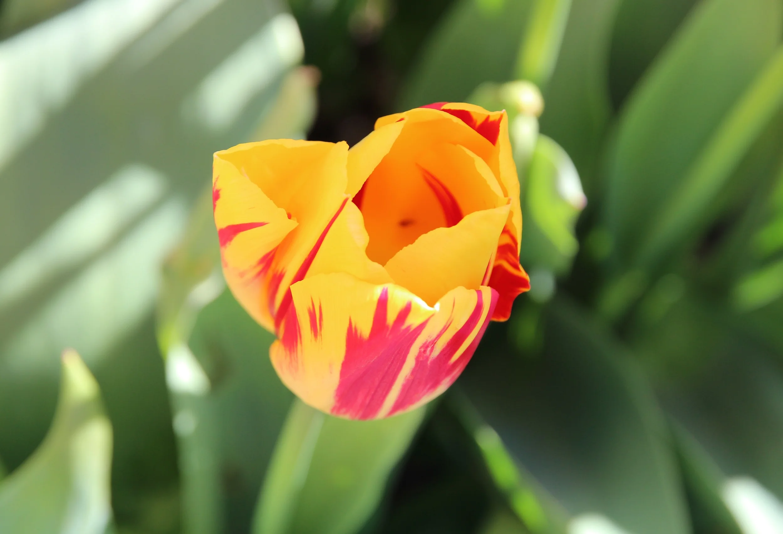 IMG_5363_edited.jpg