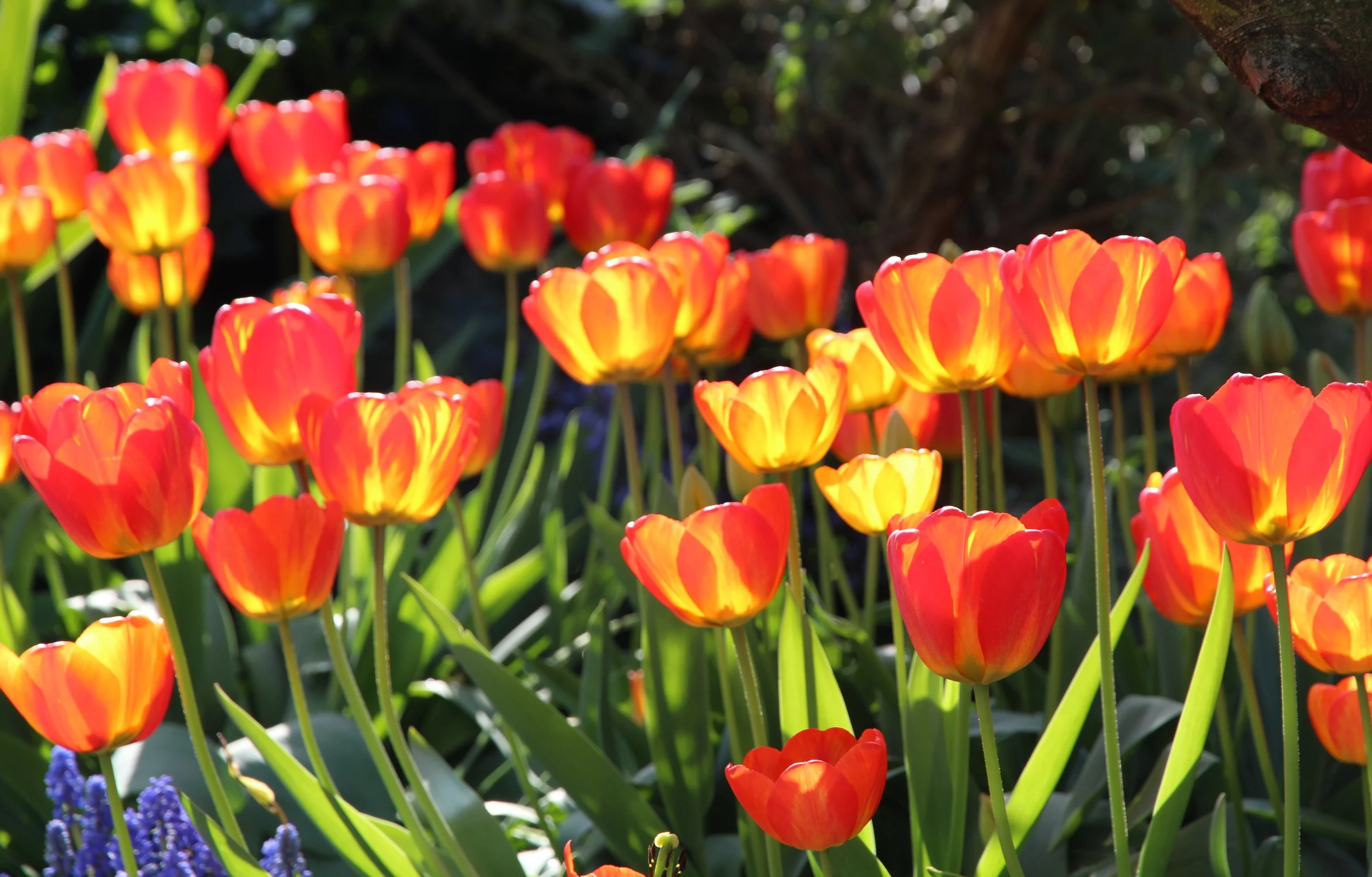 IMG_5378_edited.jpg