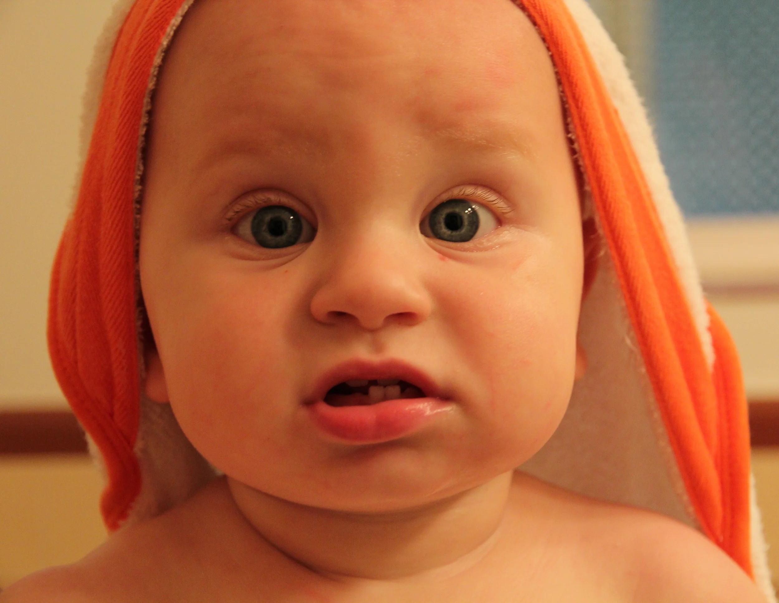 IMG_6834_edited.jpg