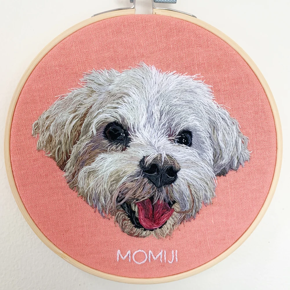Pet Portraits — Kendall Kulper