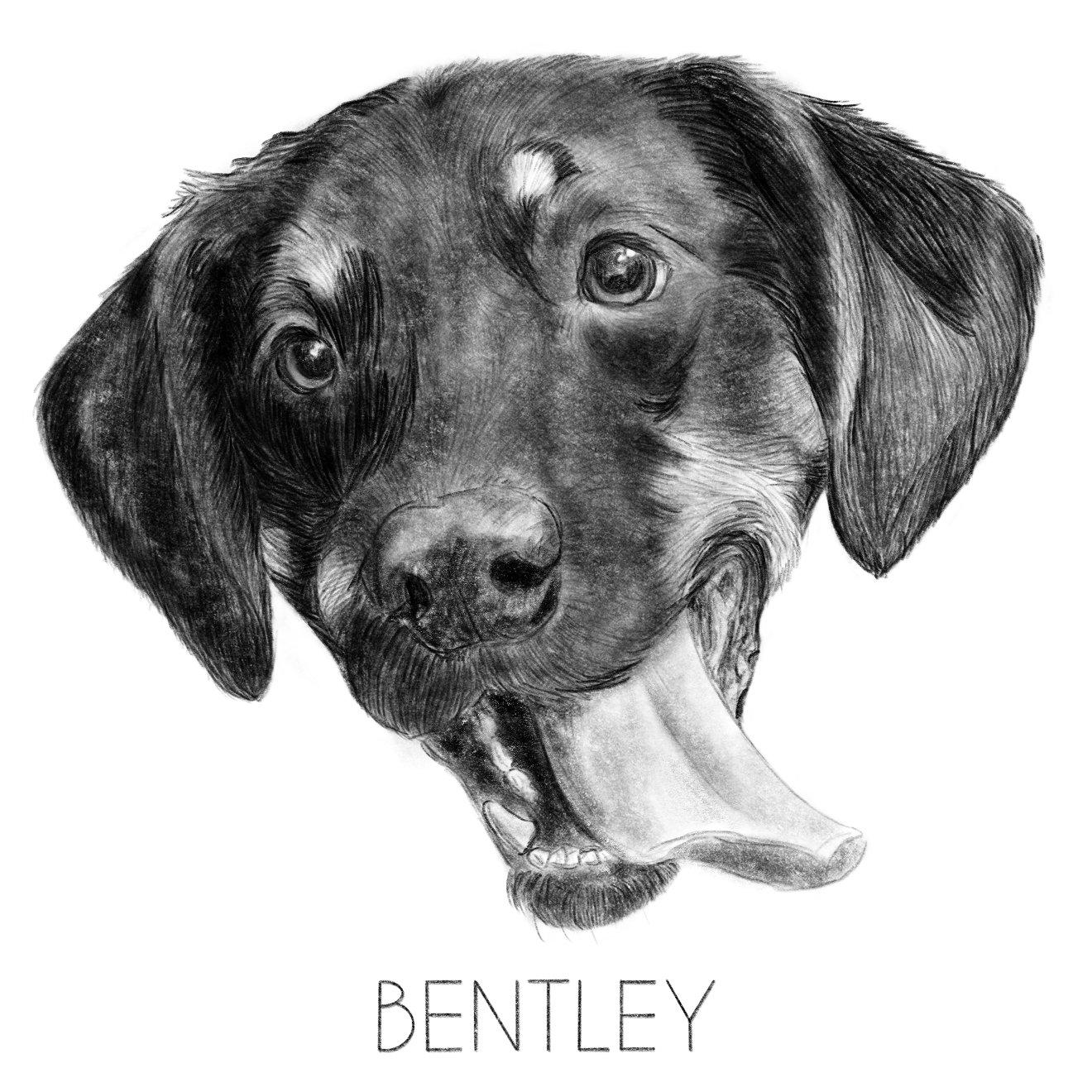 Bentley.PNG