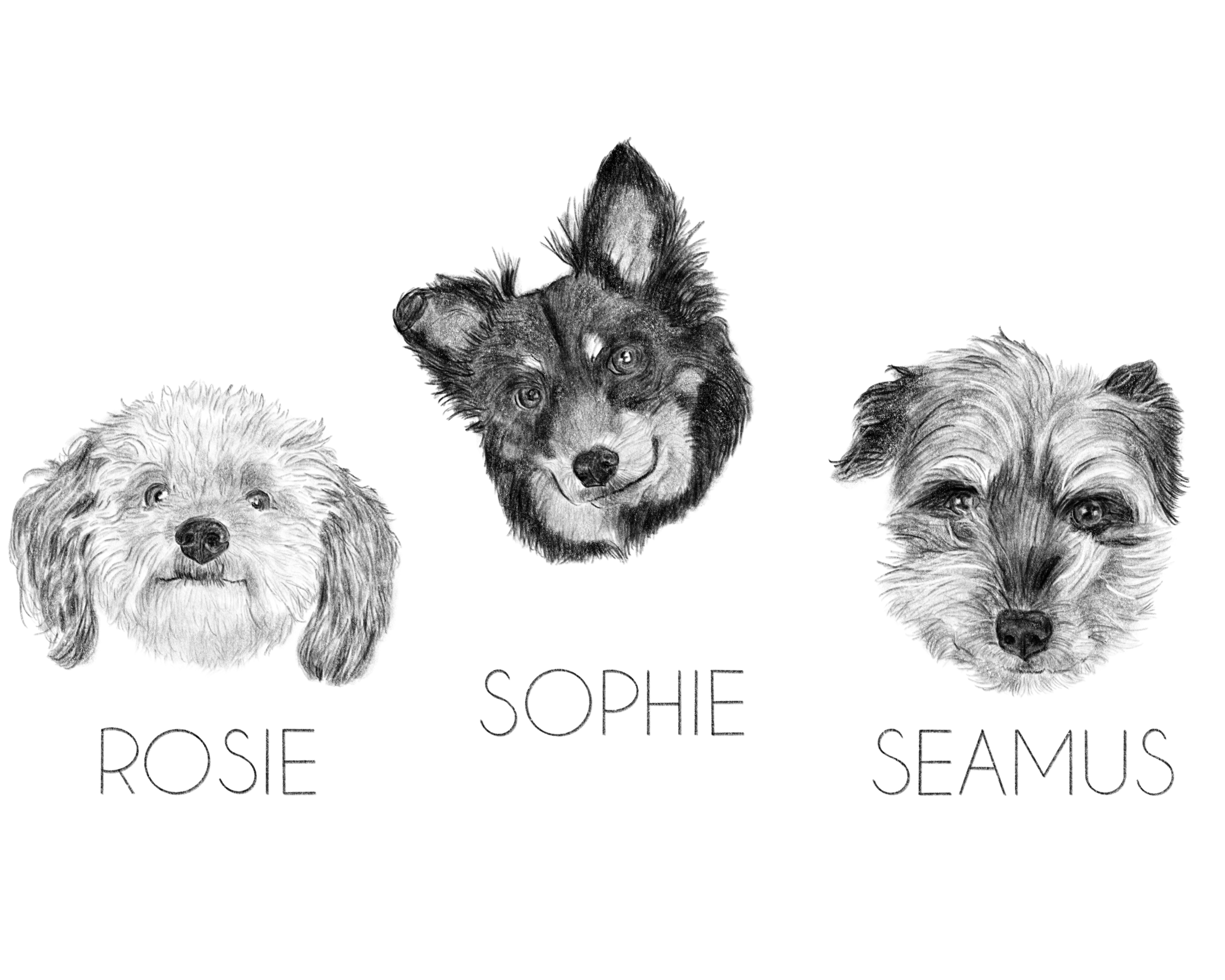 Rosie, Sophie, and Seamus.PNG