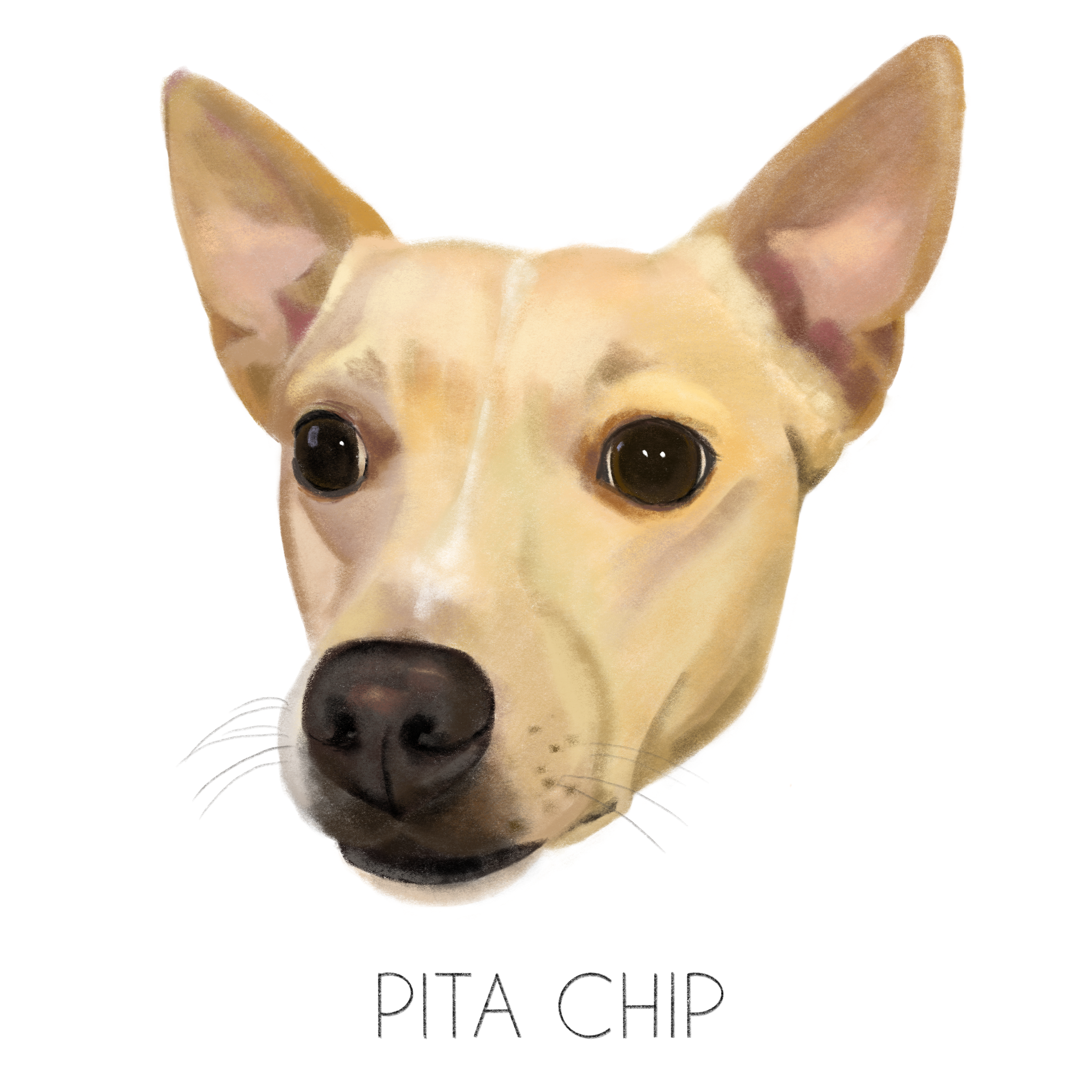 Pita Chip.PNG