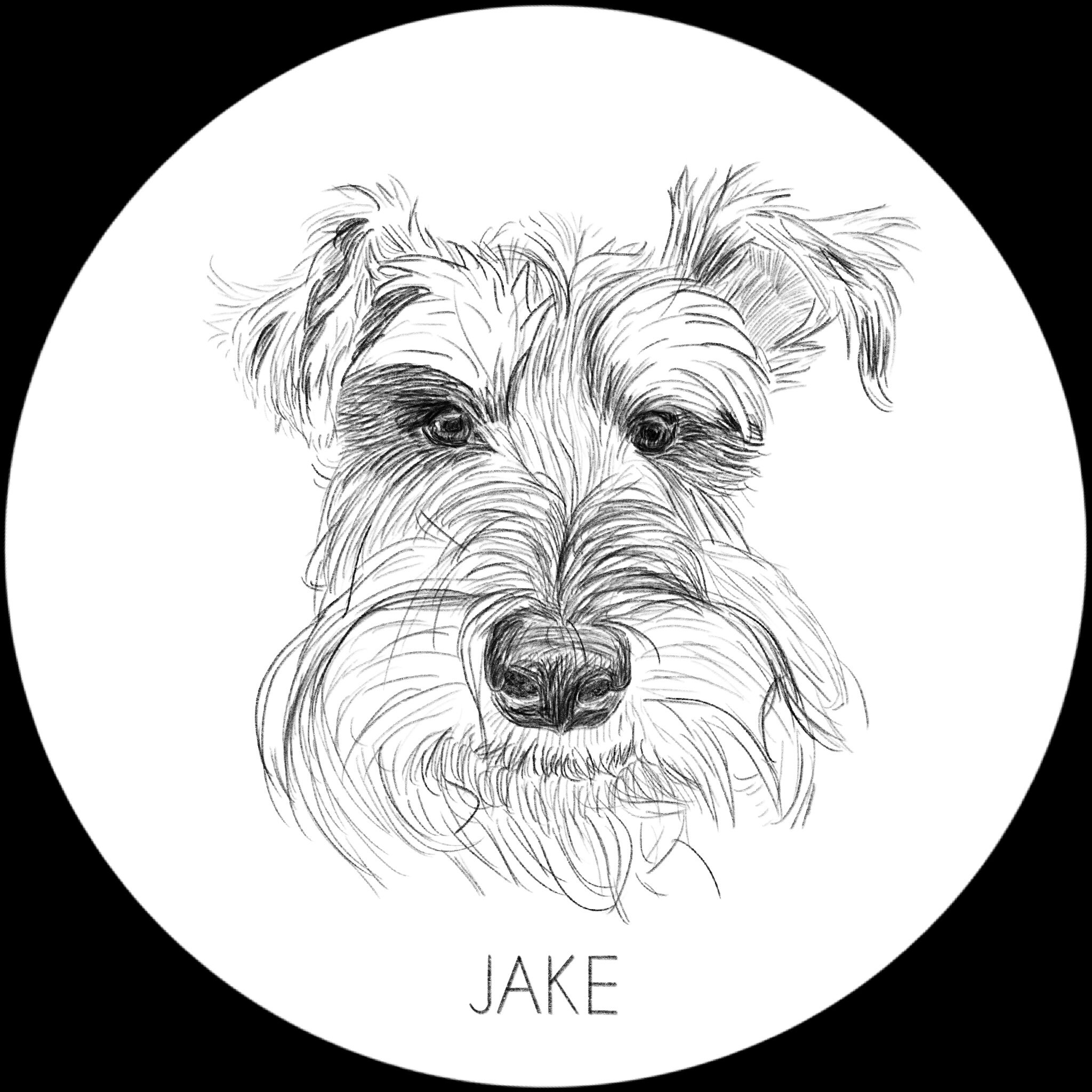 Jake.JPG