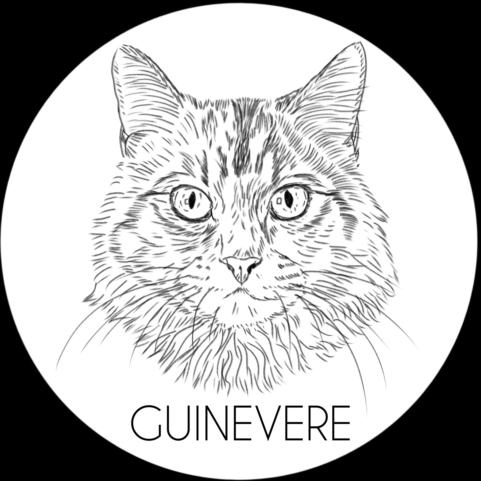 Guinevere_For_Suzanne.jpg