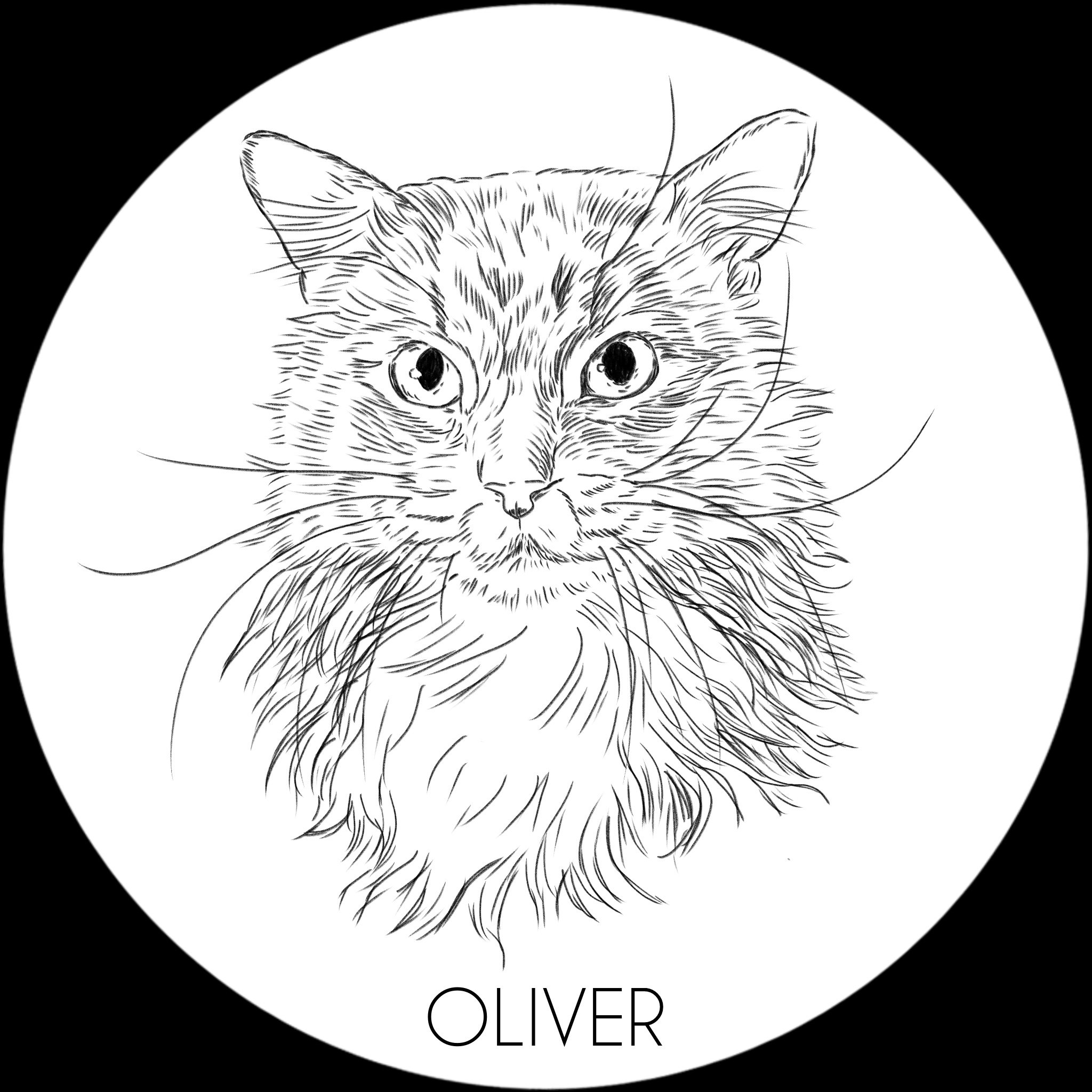 Oliver_For_Monica (1).jpg