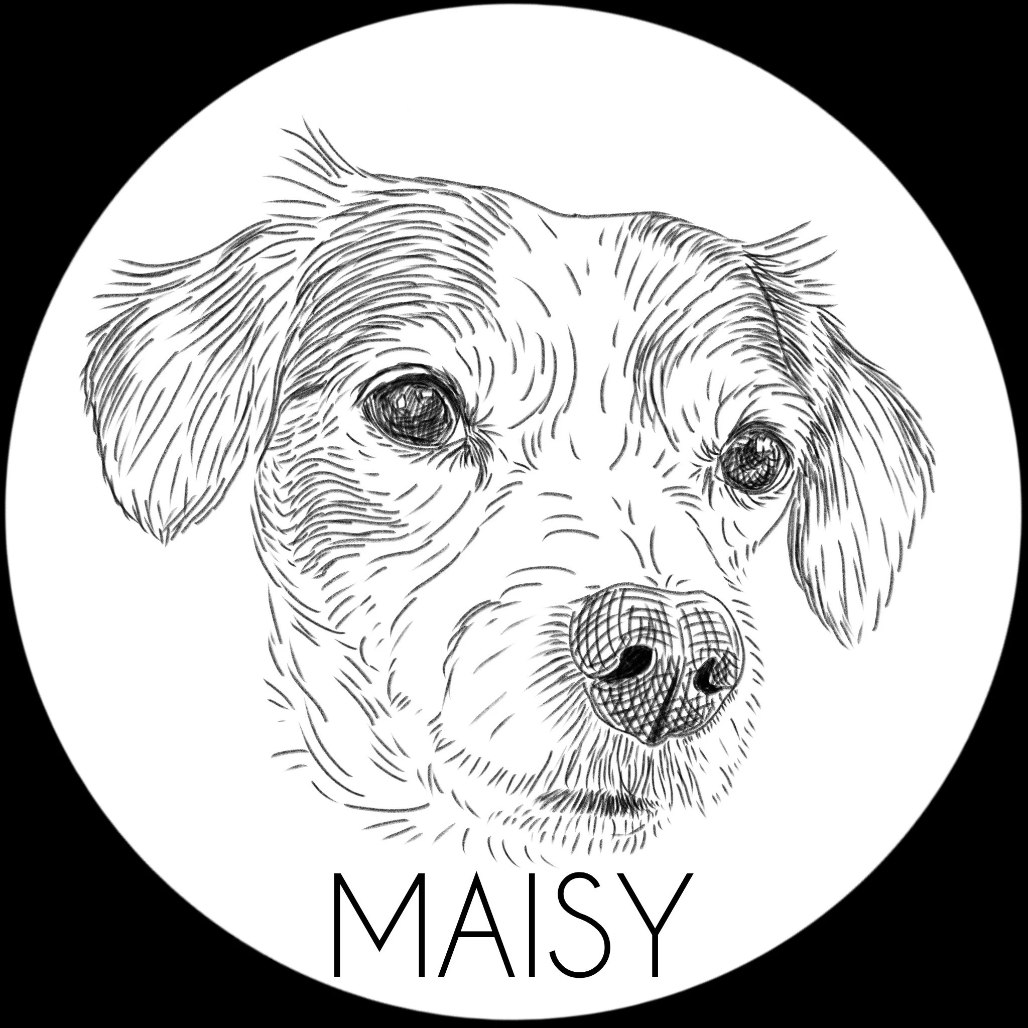 Maisy_For_Rachel.jpg
