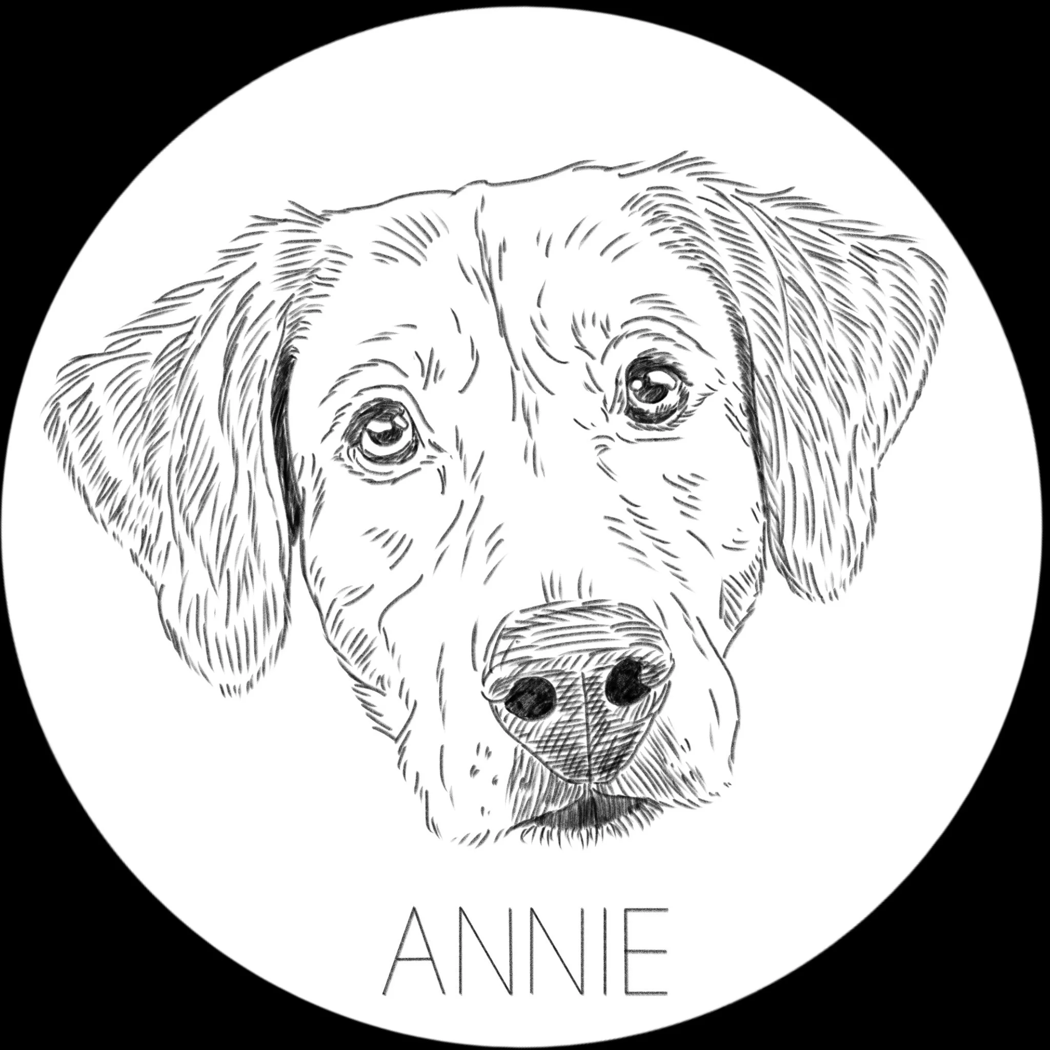 Annie_For_Julia.jpg
