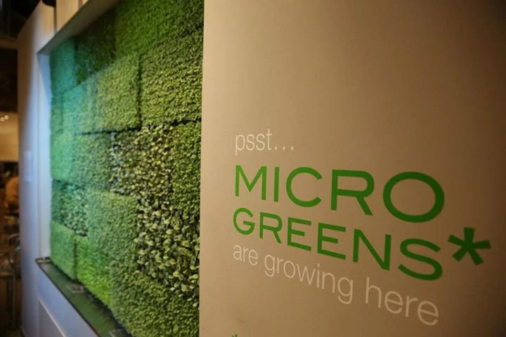 micro greens.jpg