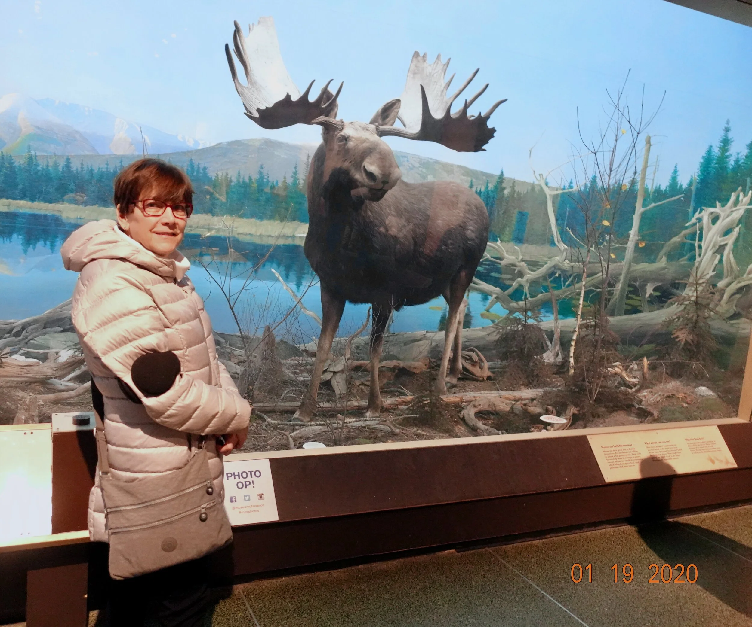 Museum of Science
