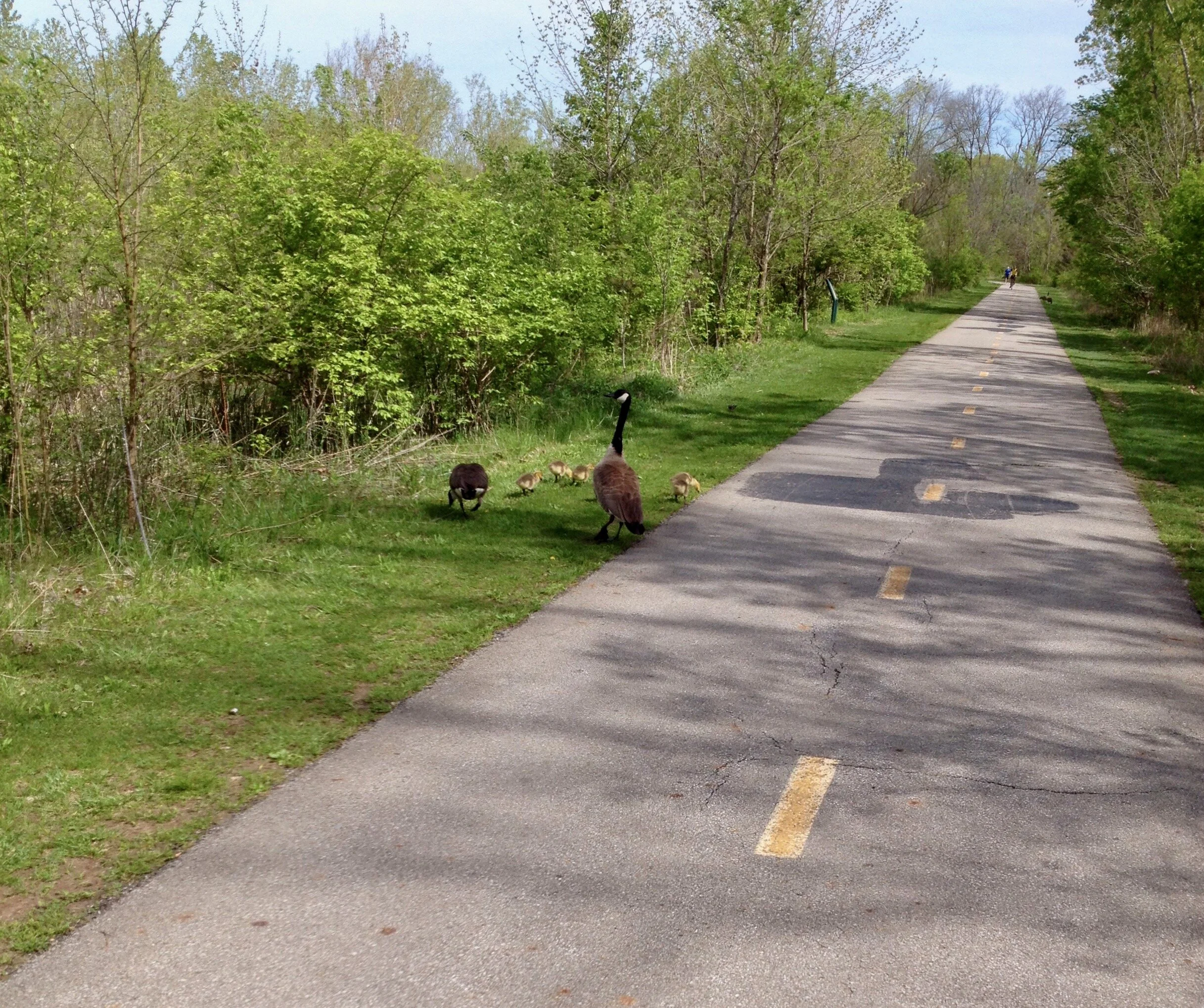 Bike path