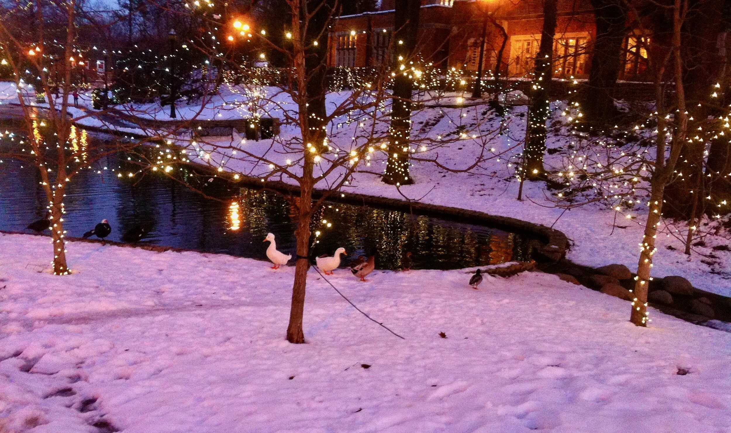 OSU Mirror Lake