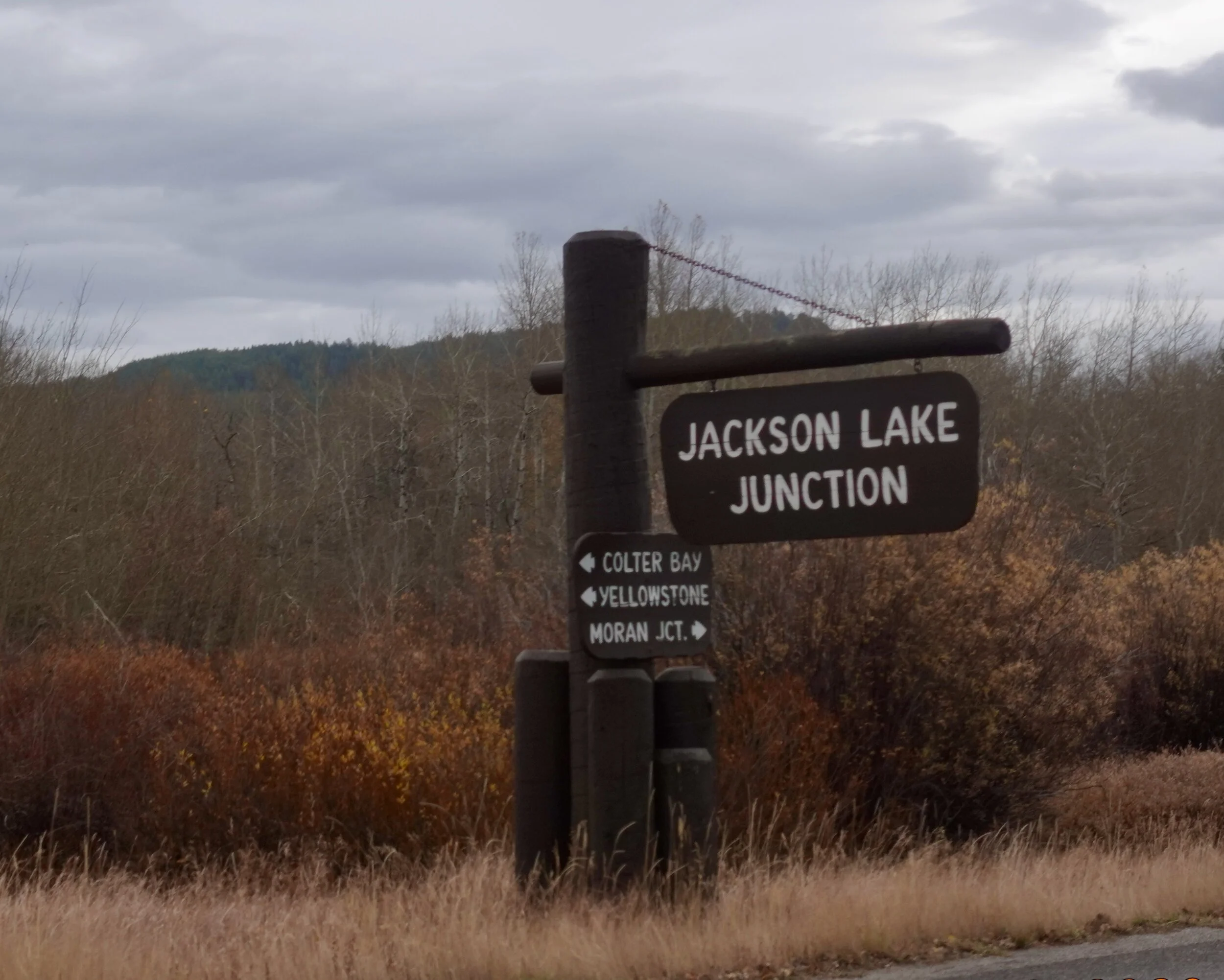 2020 Jackson - 44.jpeg