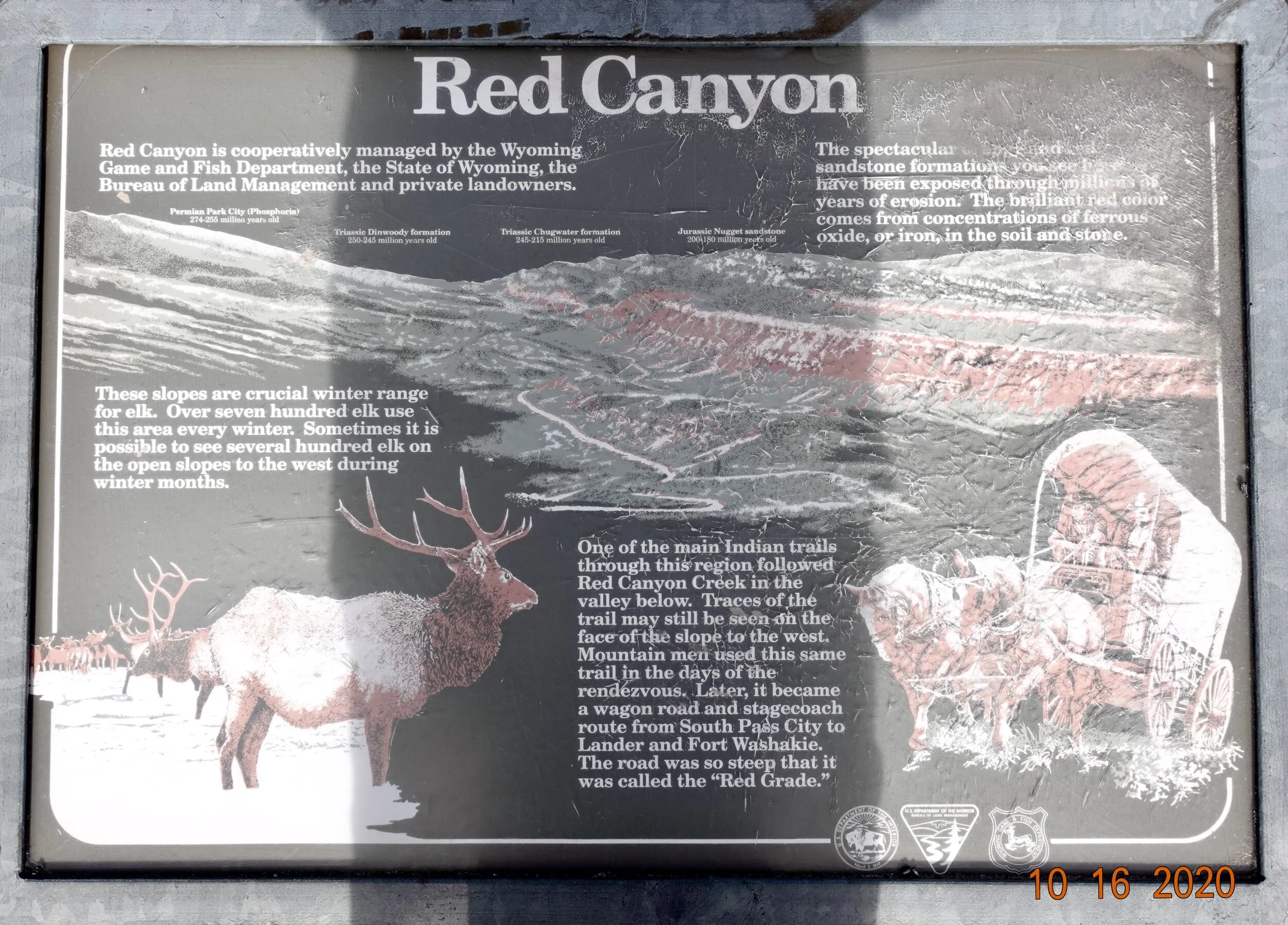 2020 Wyoming - 5.jpeg