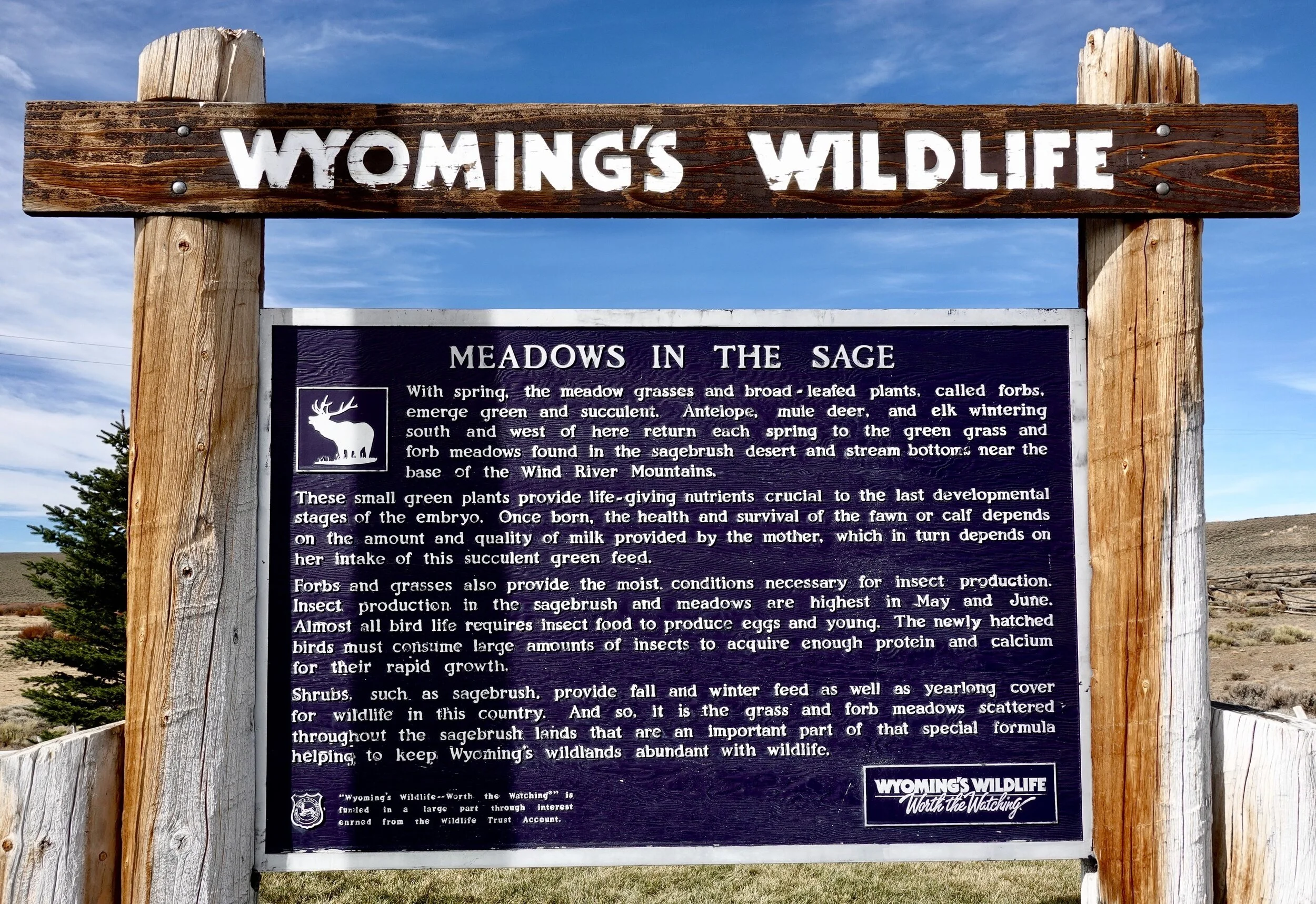 2020 Wyoming - 8.jpeg