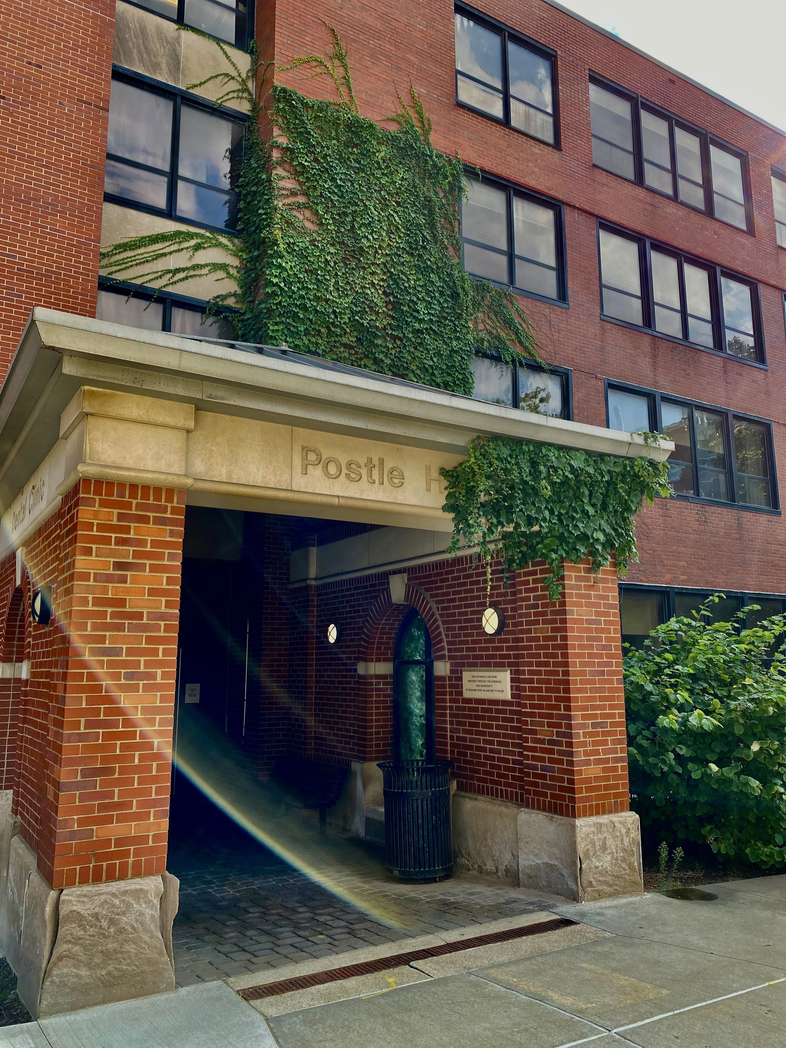 Dental College home