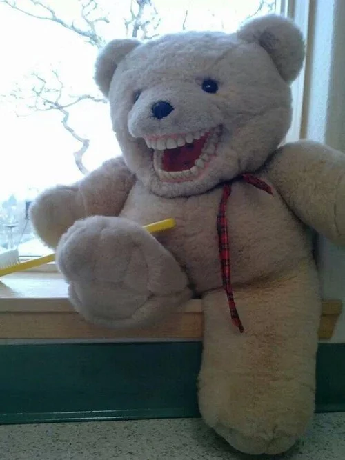 usestuffed animals to teach oral hygine.jpg