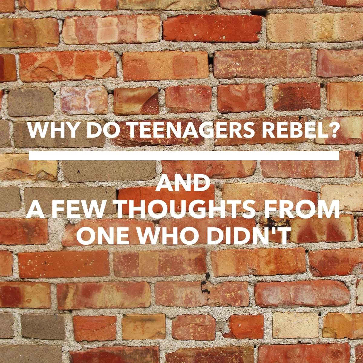 Why Do Teenagers Rebel? (And a Few Thoughts From One Who Didn't)