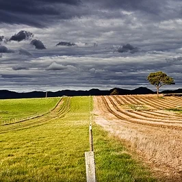 Is Your Family Life Sometimes Difficult? Here's Why.