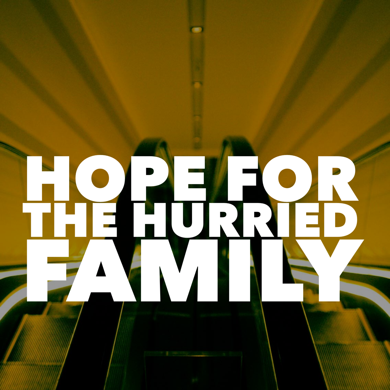 AUDIO - Hope for the Hurried Family; Help for Us All