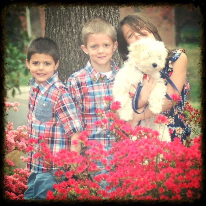 Listening to God - The Birds and The Bees and a Dog Humping Things (Guest Post)