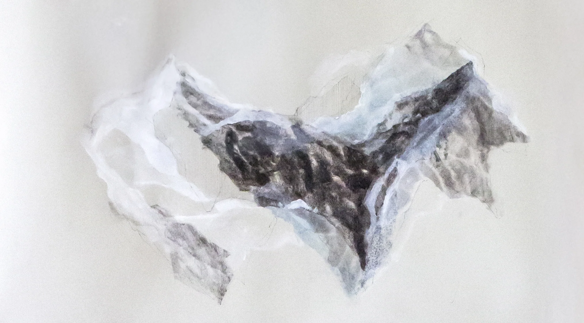 Advanced Drawing Independent Project