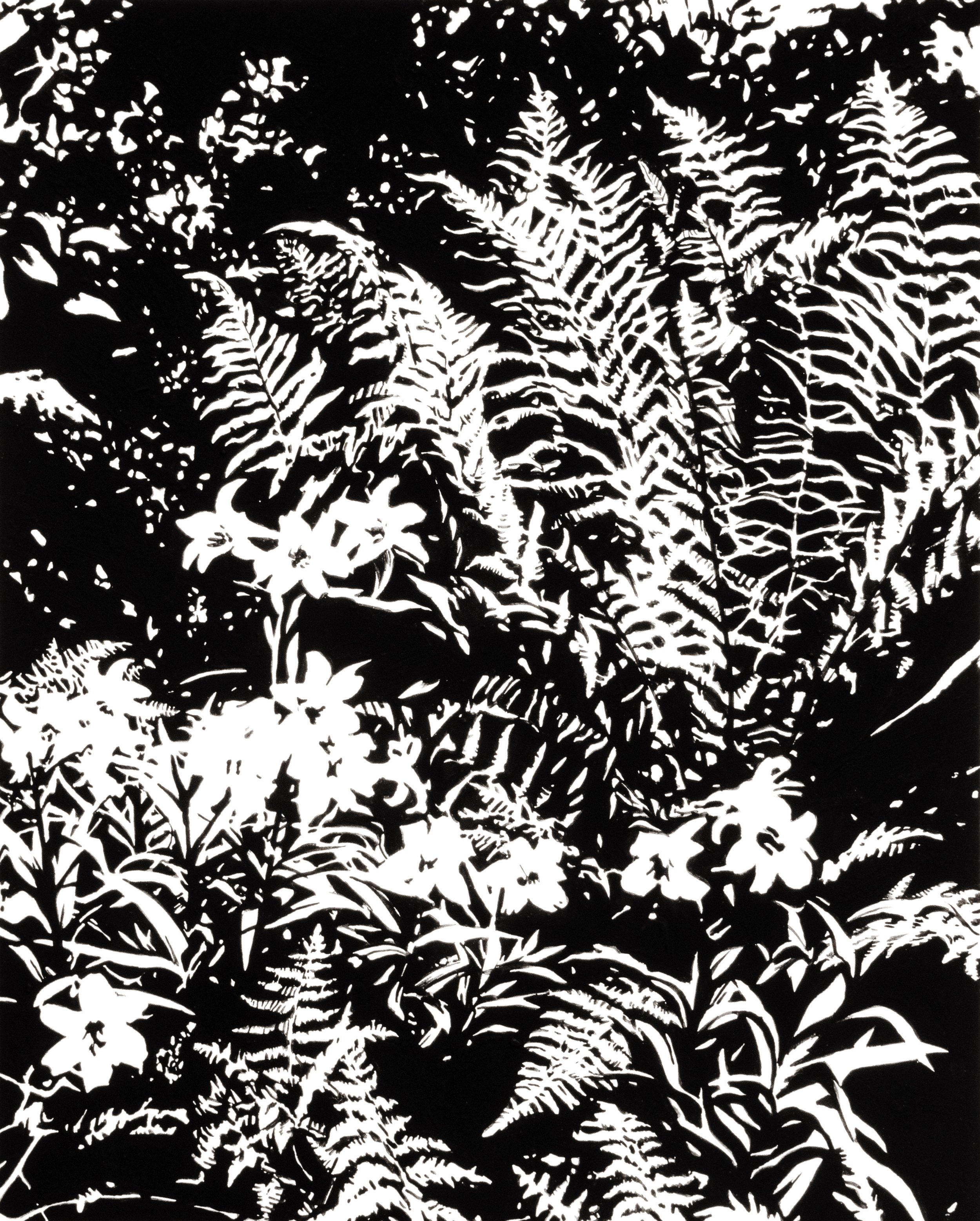 ferns and lilies, 1908