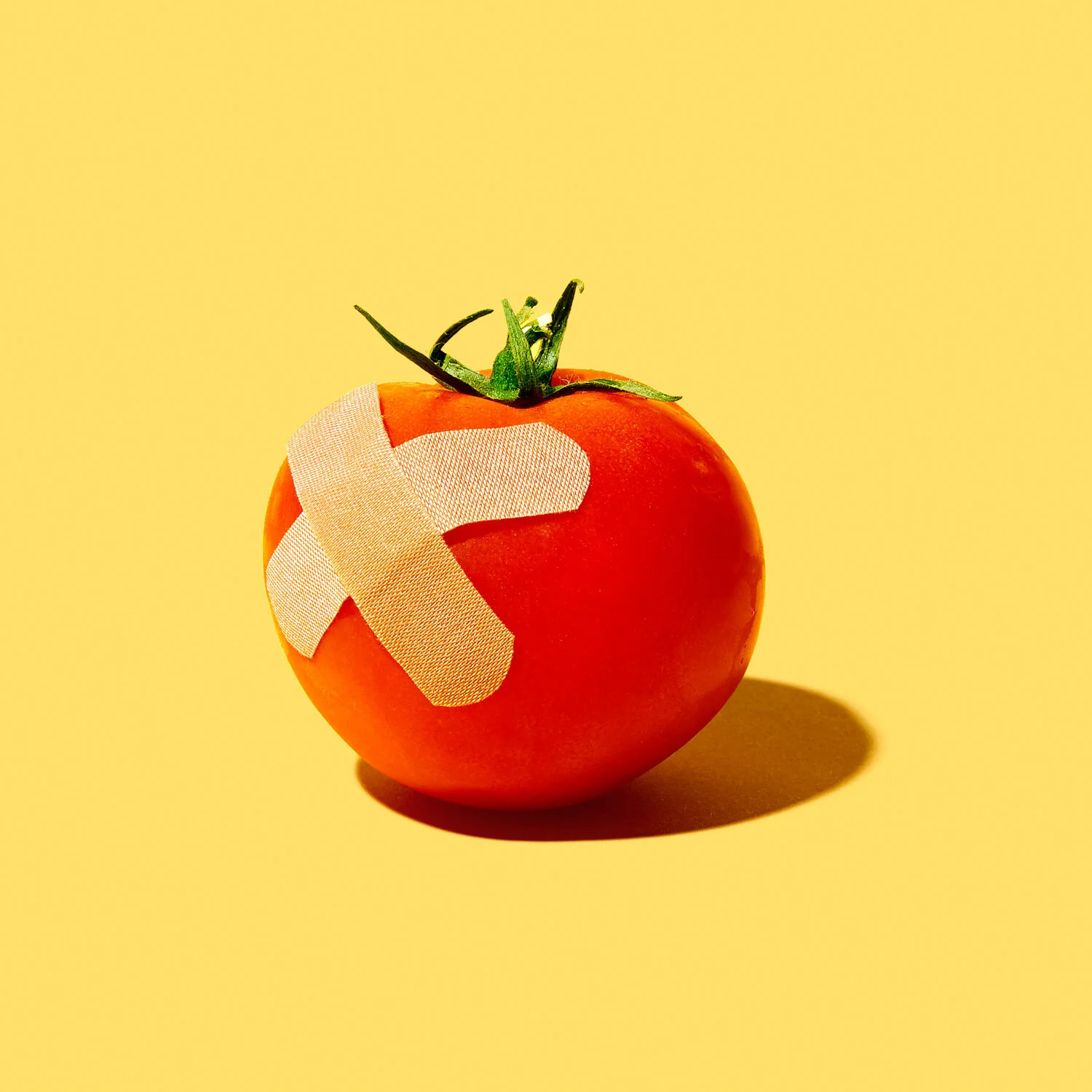 SR_TOMATO_007_web.jpg