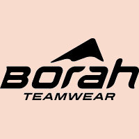 borah-logo2.jpg