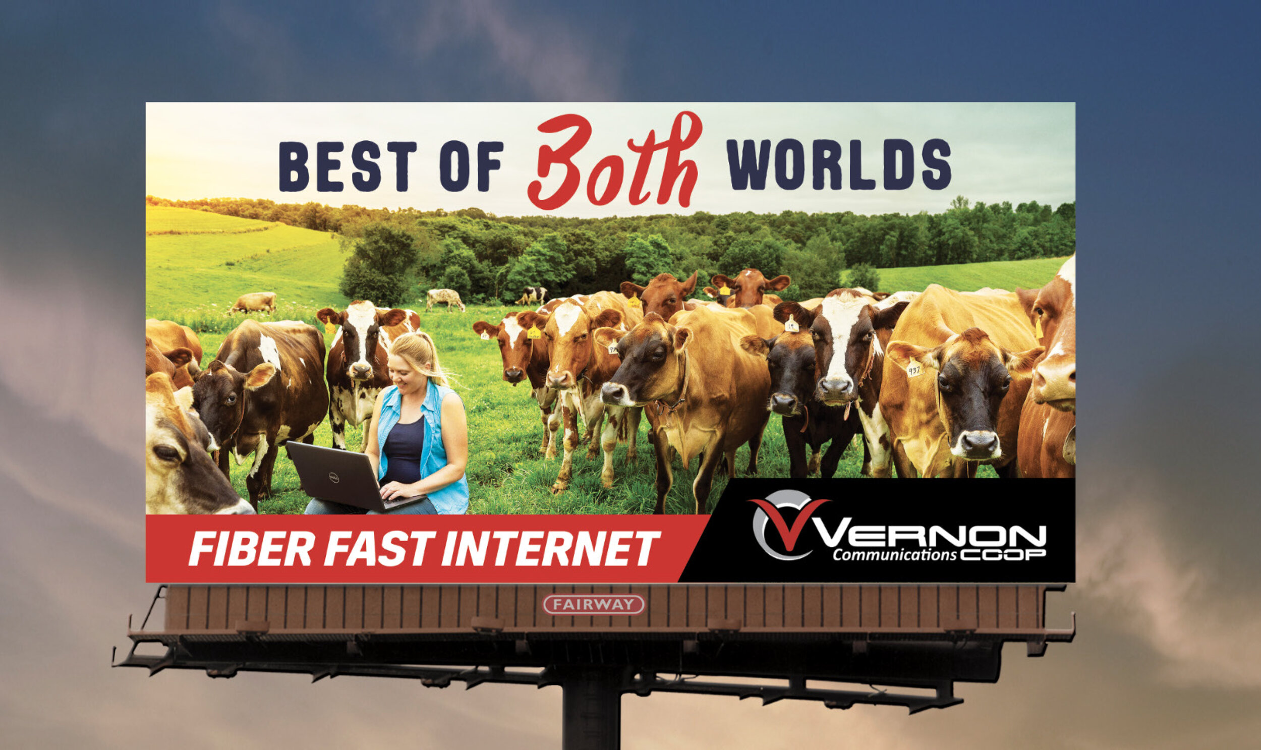 billboard advertisement for Vernon Communications with female farmer on laptop with her cows in Wisconsin field by commercial photographer Hanna Agar