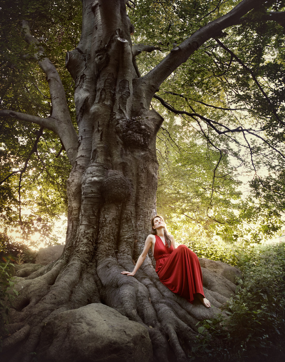 surreal portrait of musician and singer Cora Rose in red dress sitting under giant tree by creative portrait photographer Hanna Agar