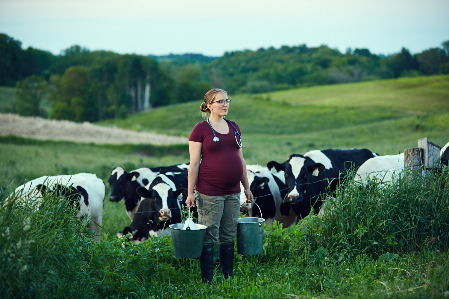 beautiful maternity portrait of livestock vet in a field with cows by creative portrait photographer Hanna Agar